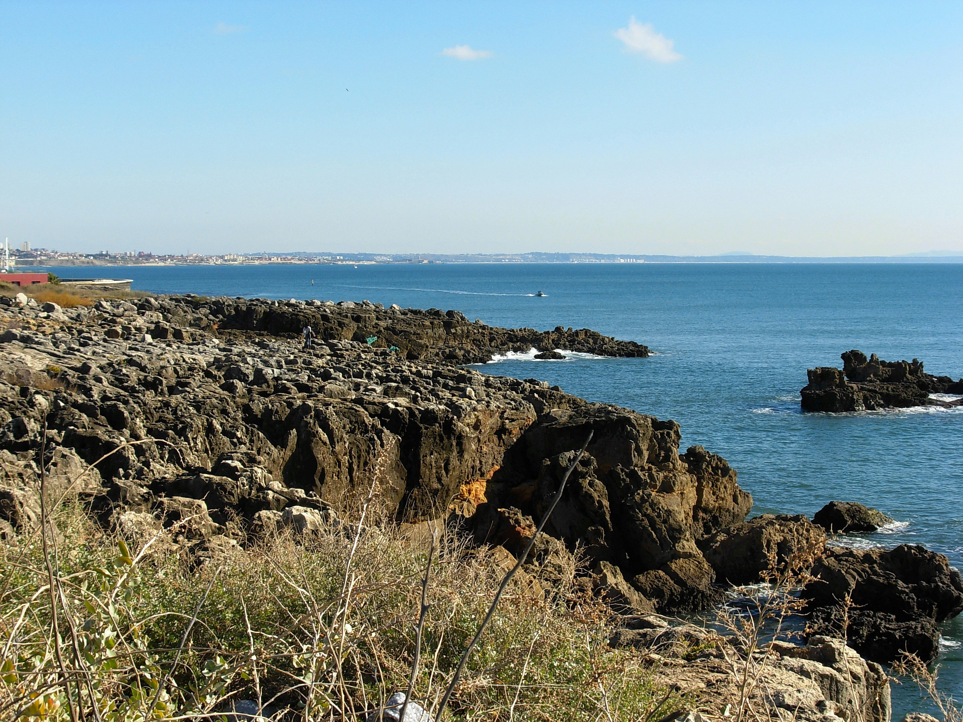 Photo by portugalwines