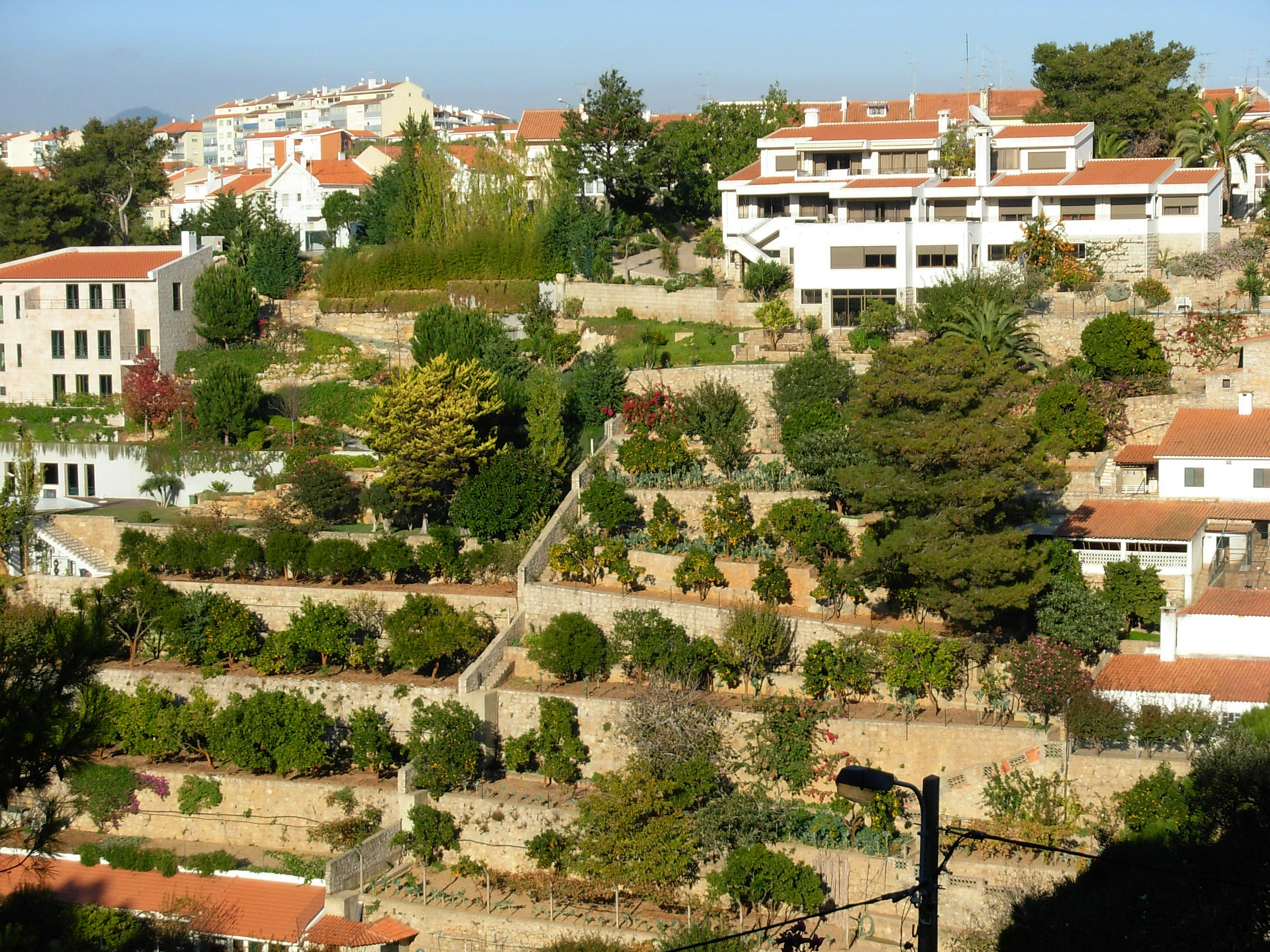 Photo by portugalwines