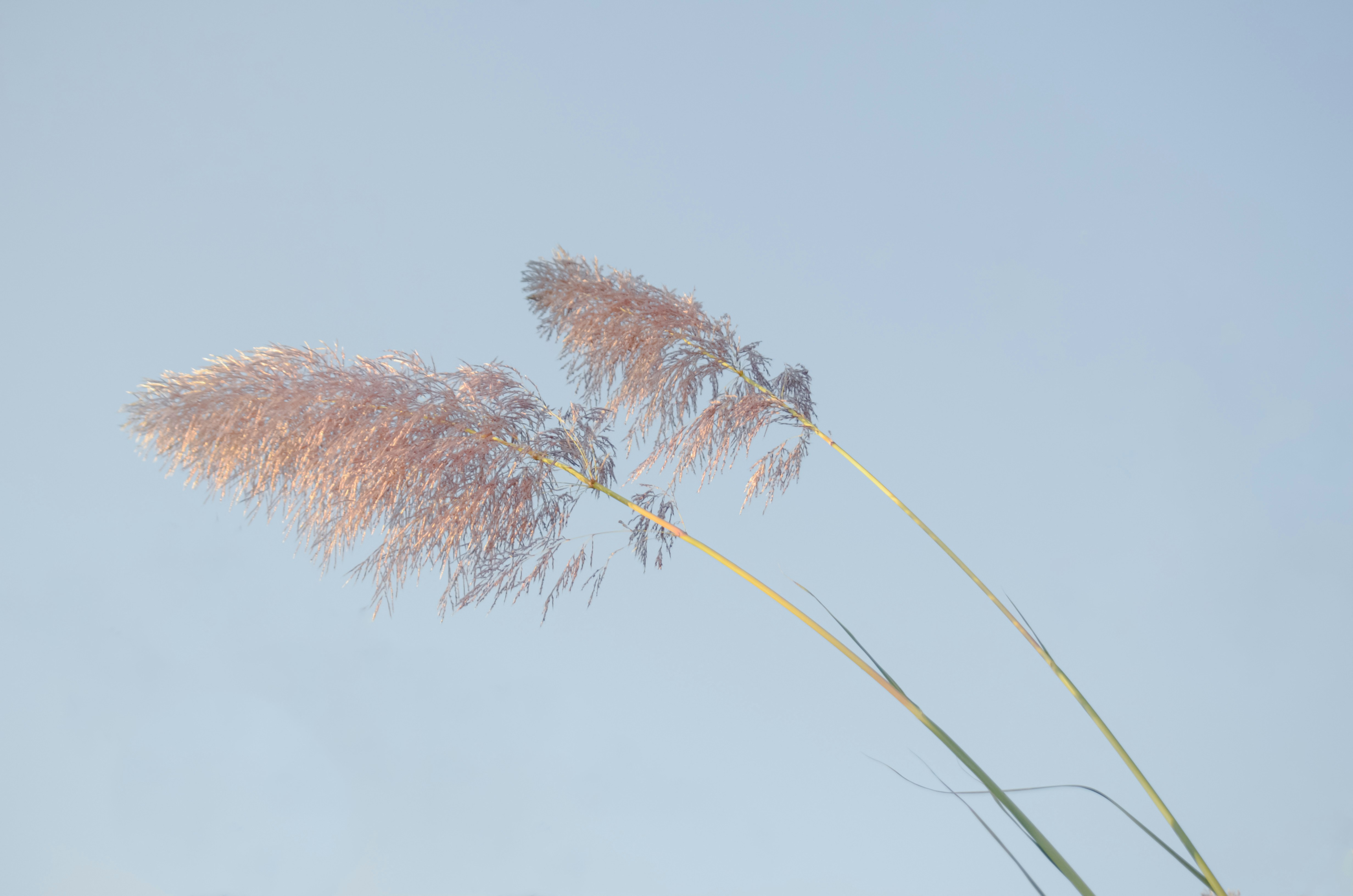 Photo by potatonorim