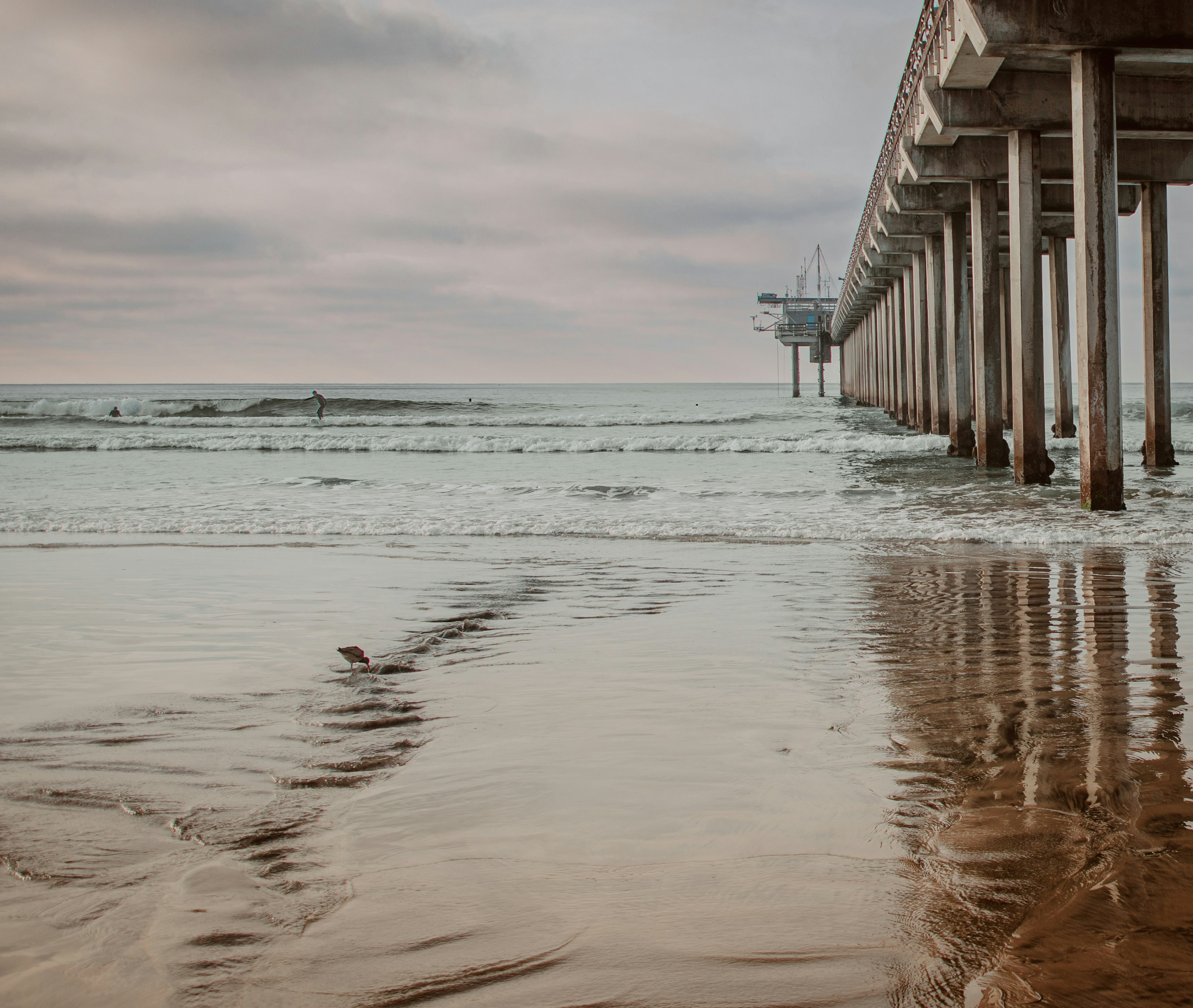 Photo by carmelalustrephotography