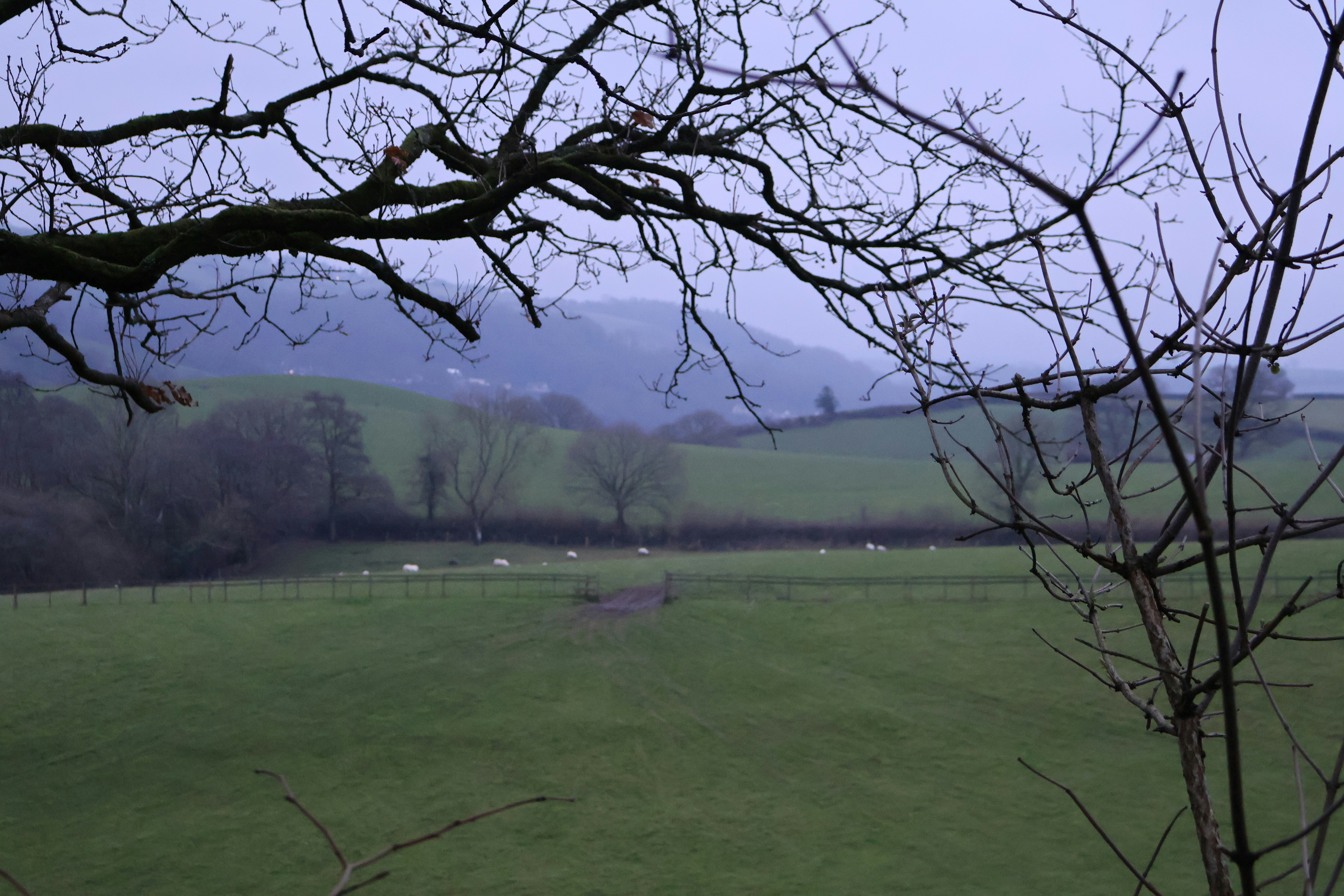 Photo by tanyabarrow