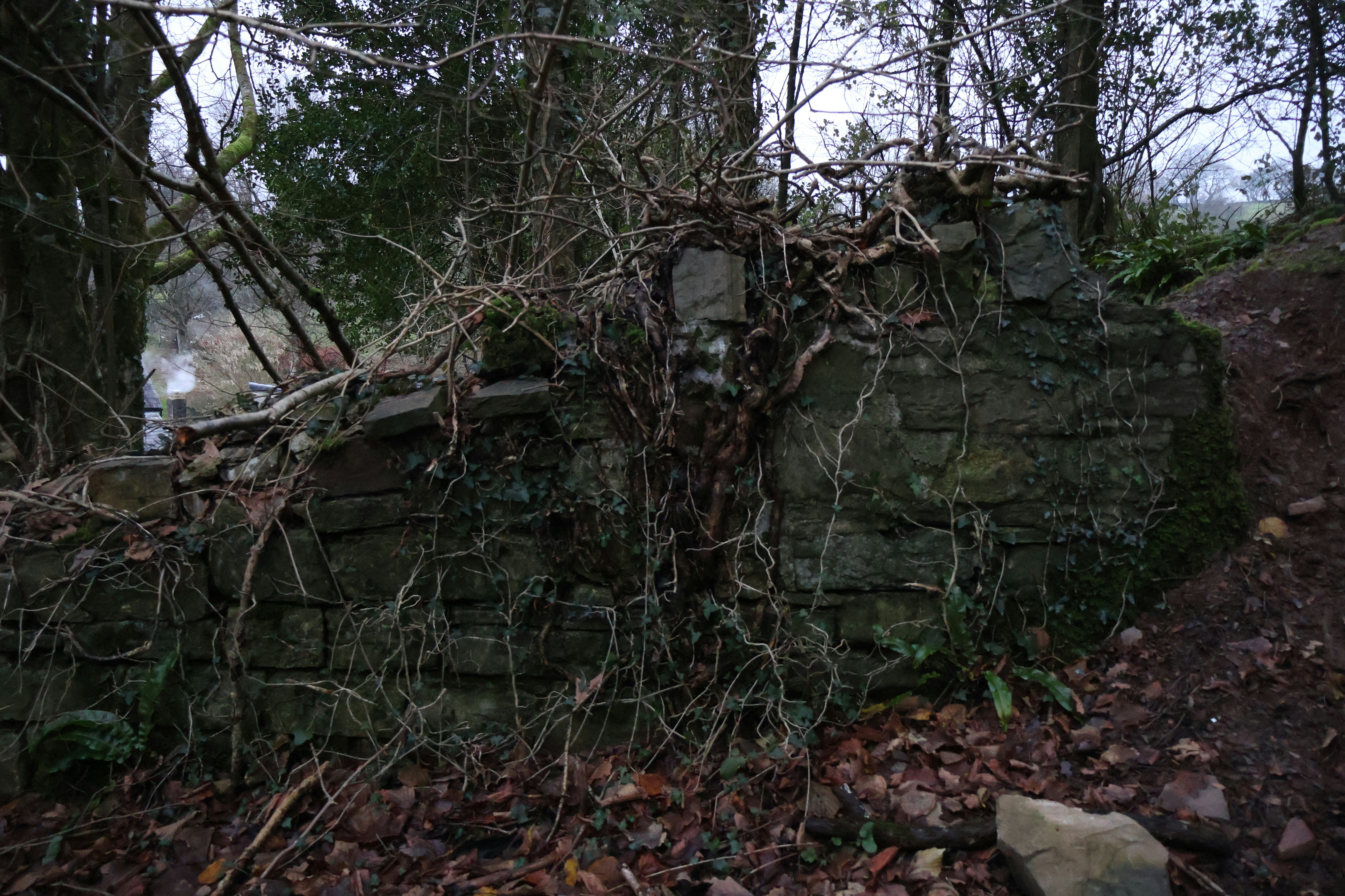 Photo by tanyabarrow