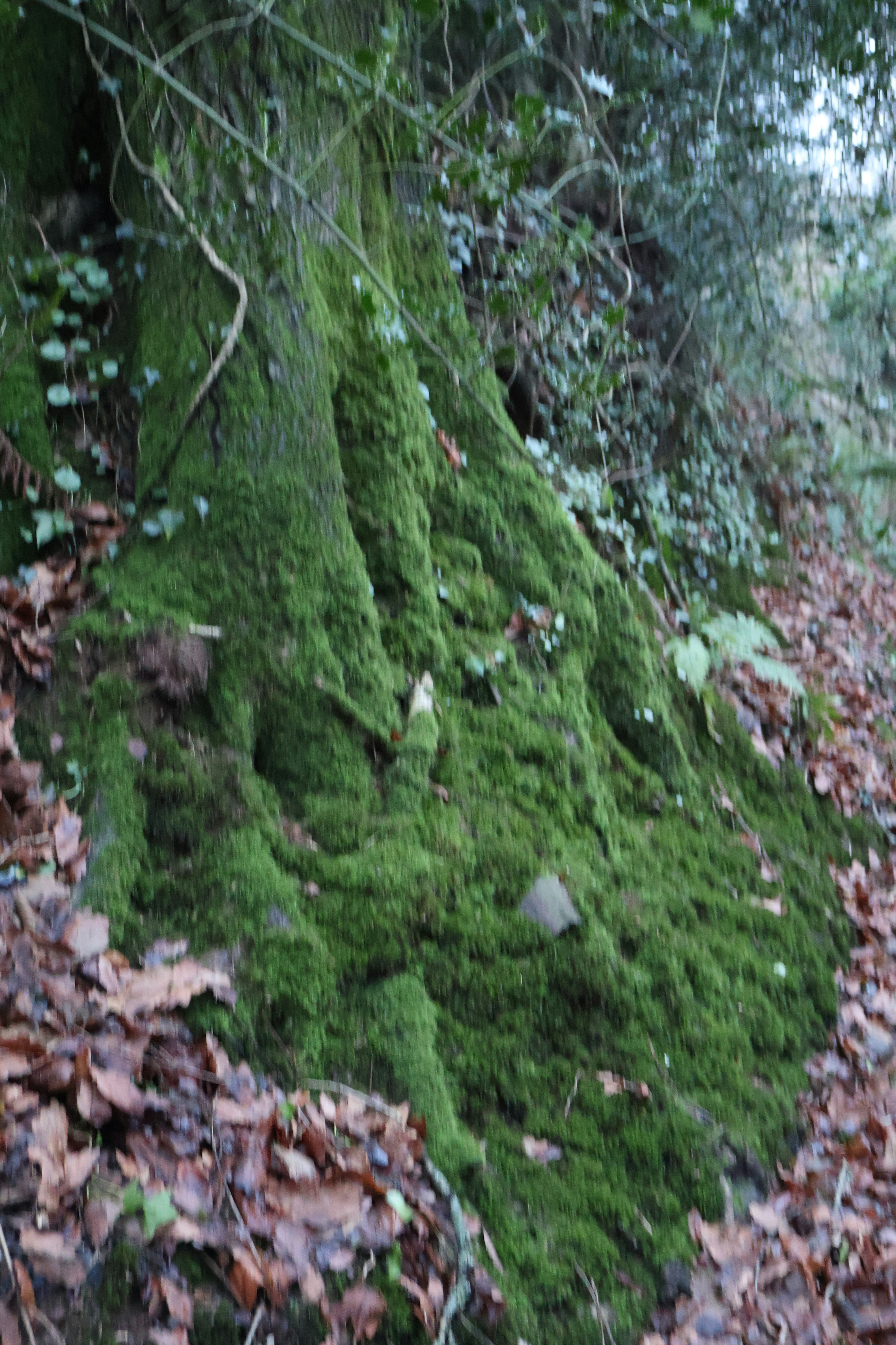 Photo by tanyabarrow