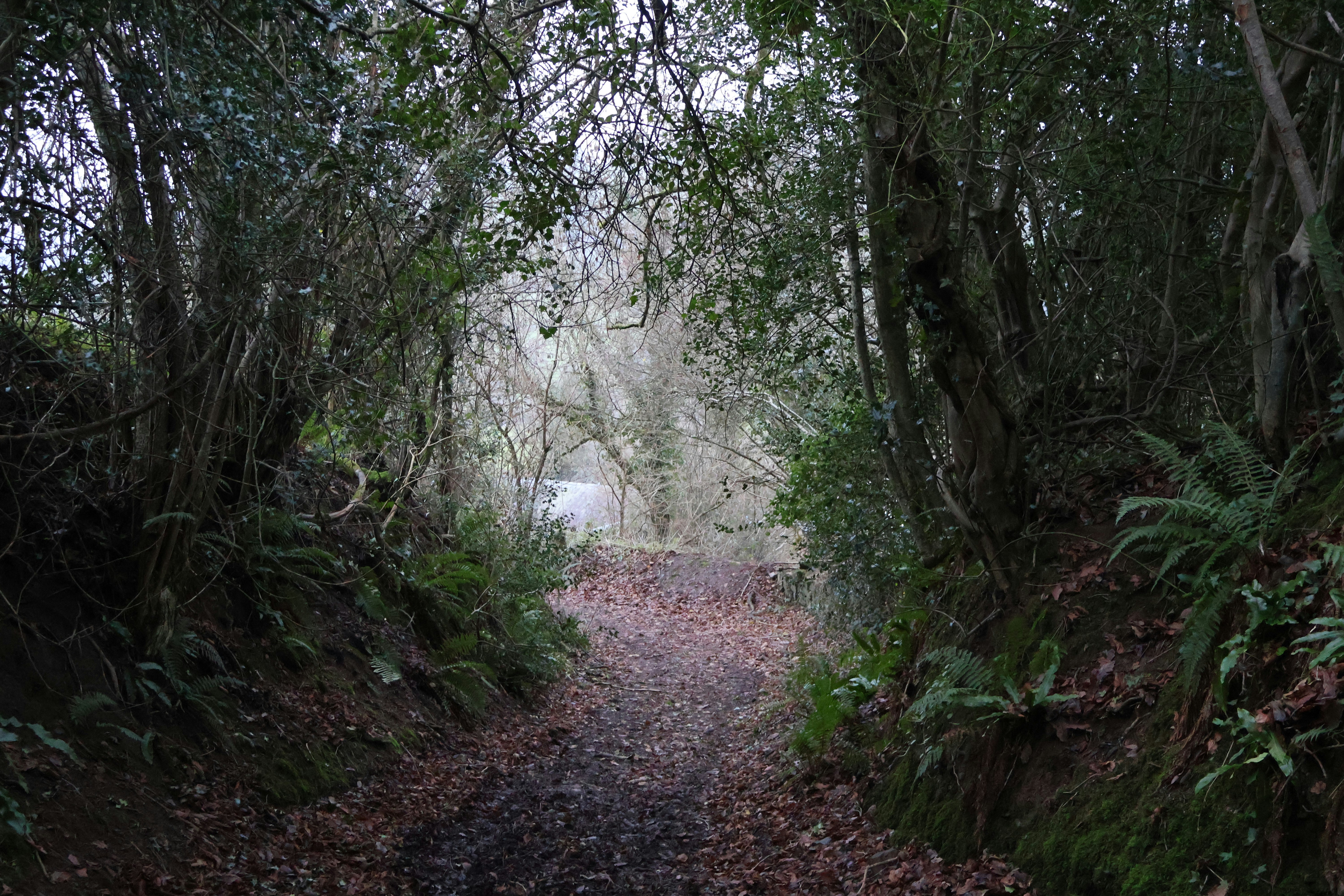 Photo by tanyabarrow