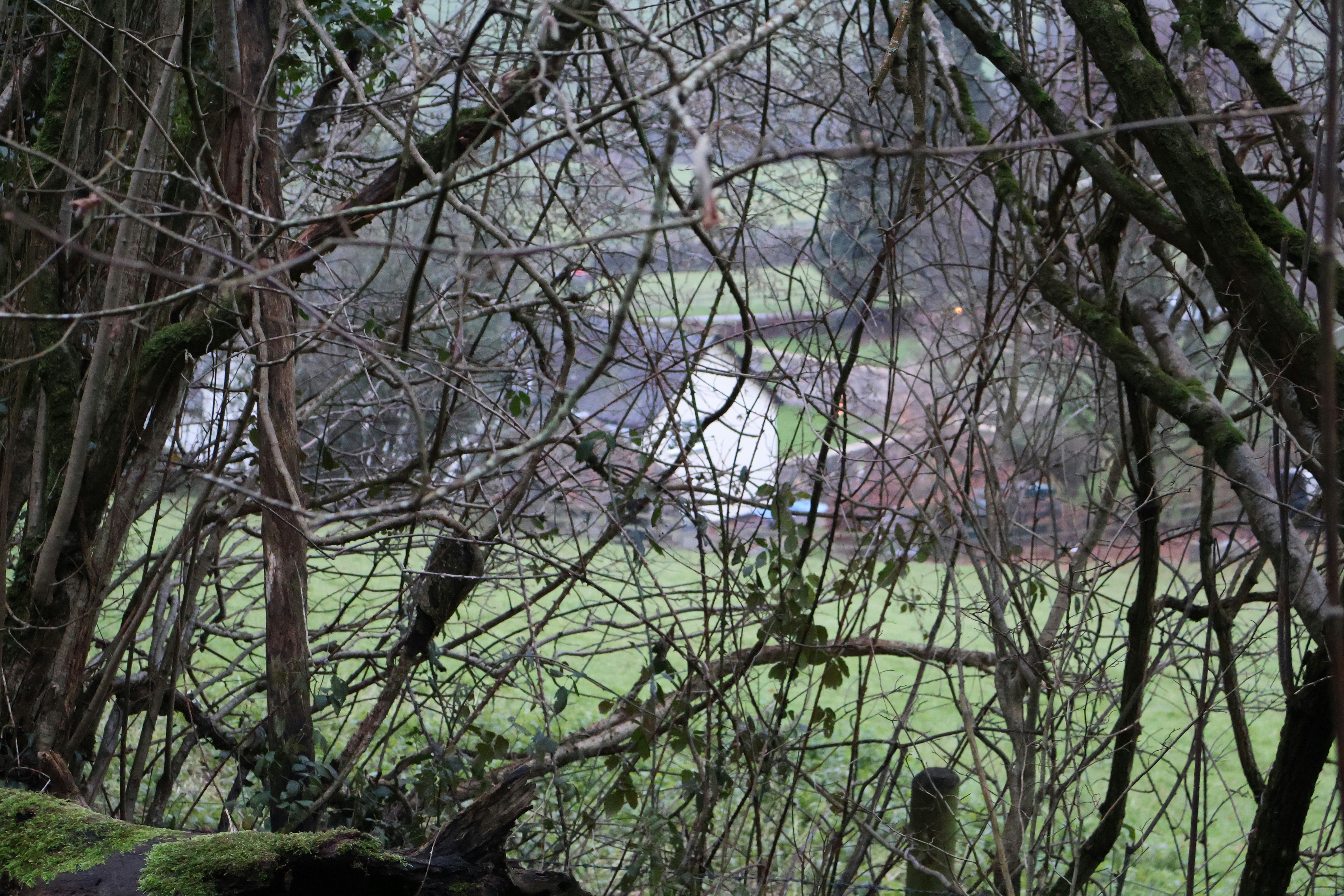 Photo by tanyabarrow