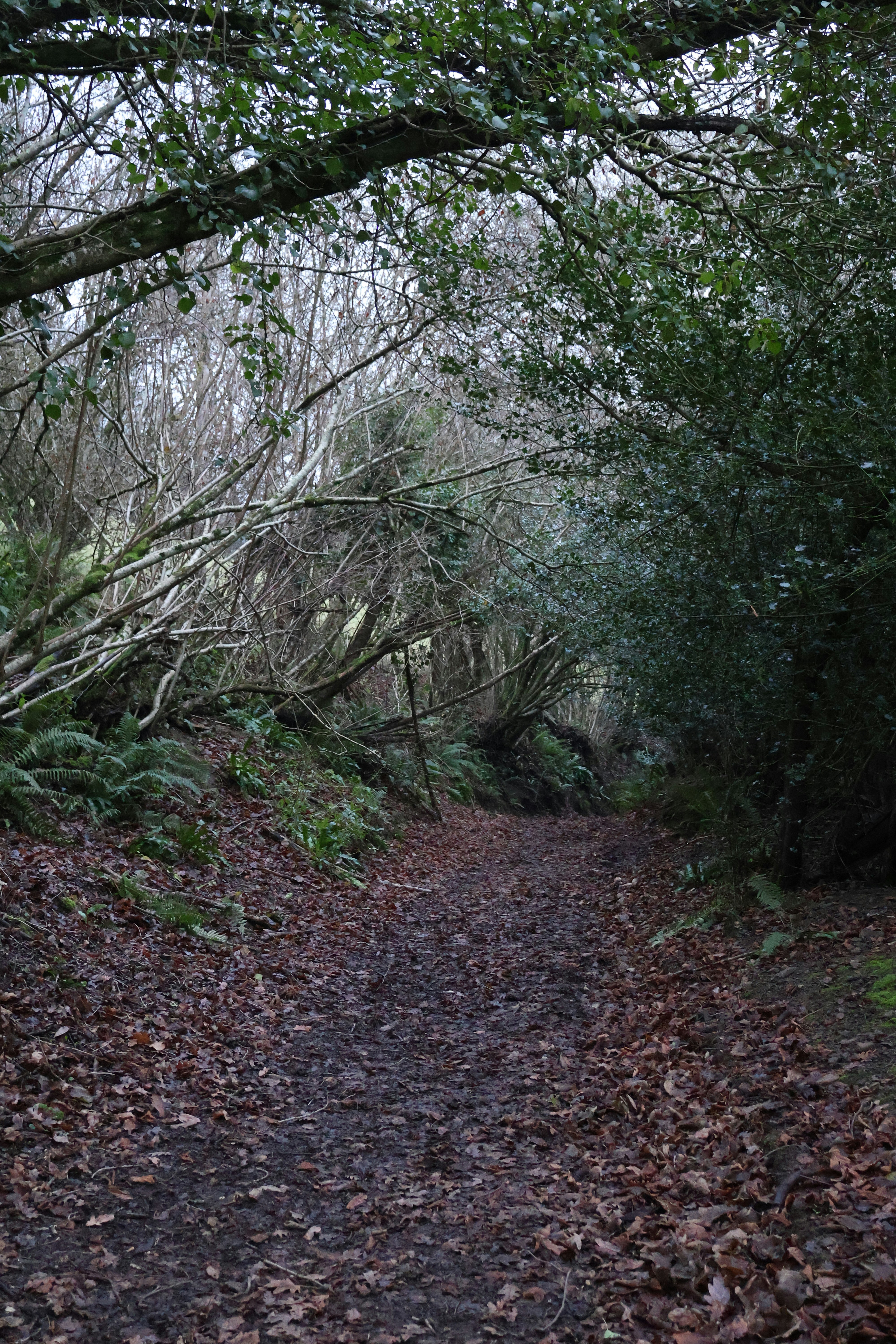 Photo by tanyabarrow