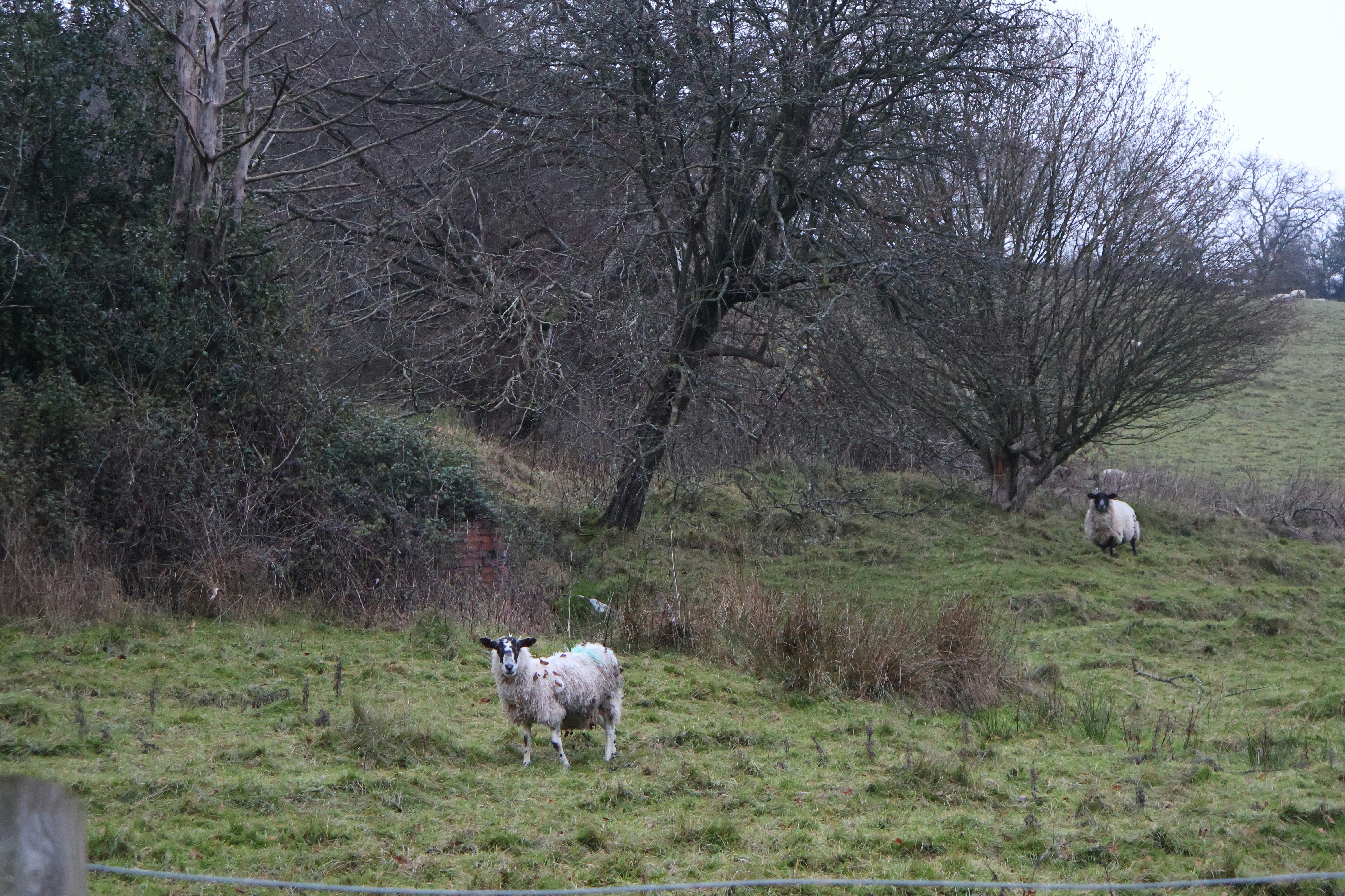 Photo by tanyabarrow