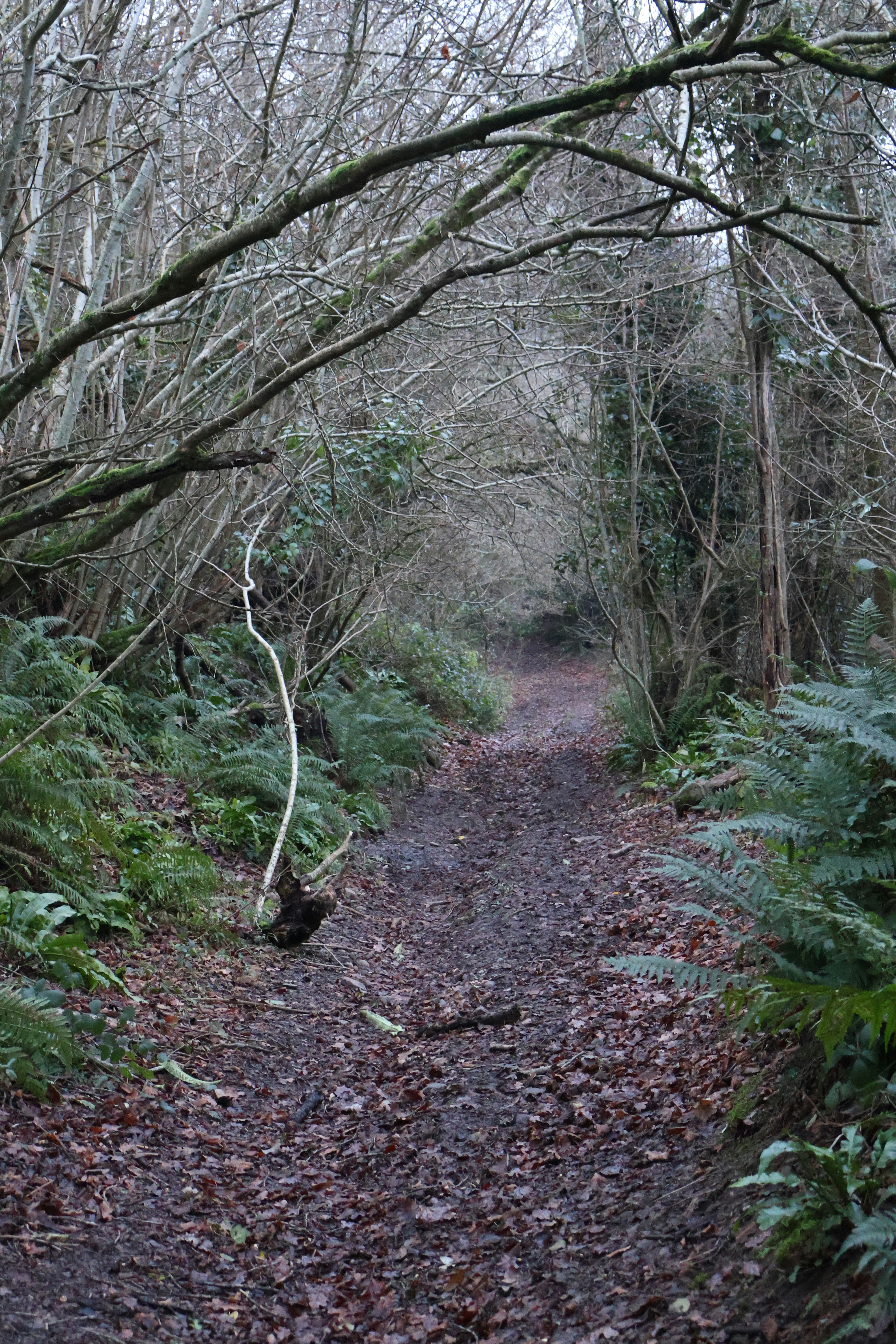 Photo by tanyabarrow