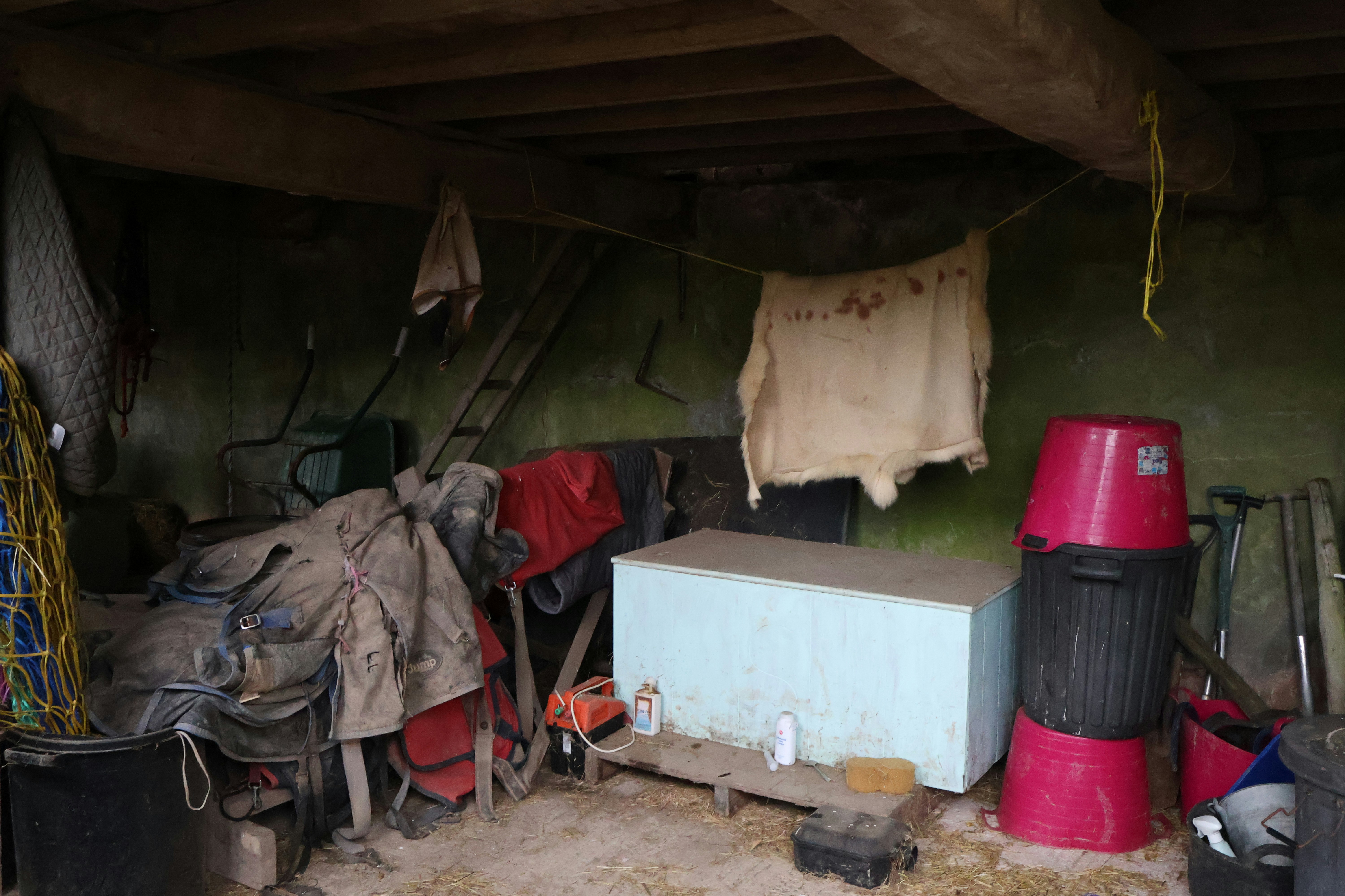 Photo by tanyabarrow