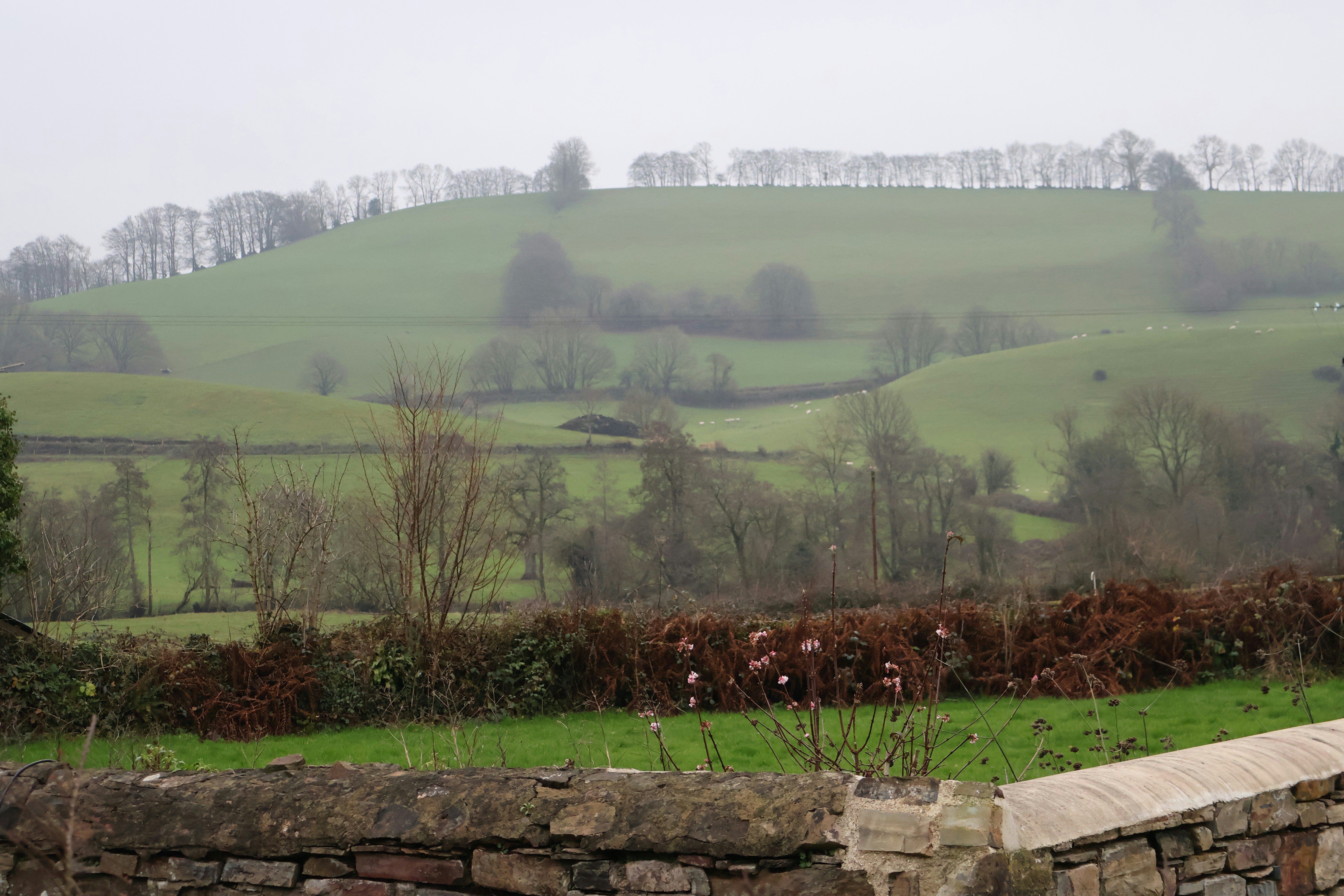 Photo by tanyabarrow