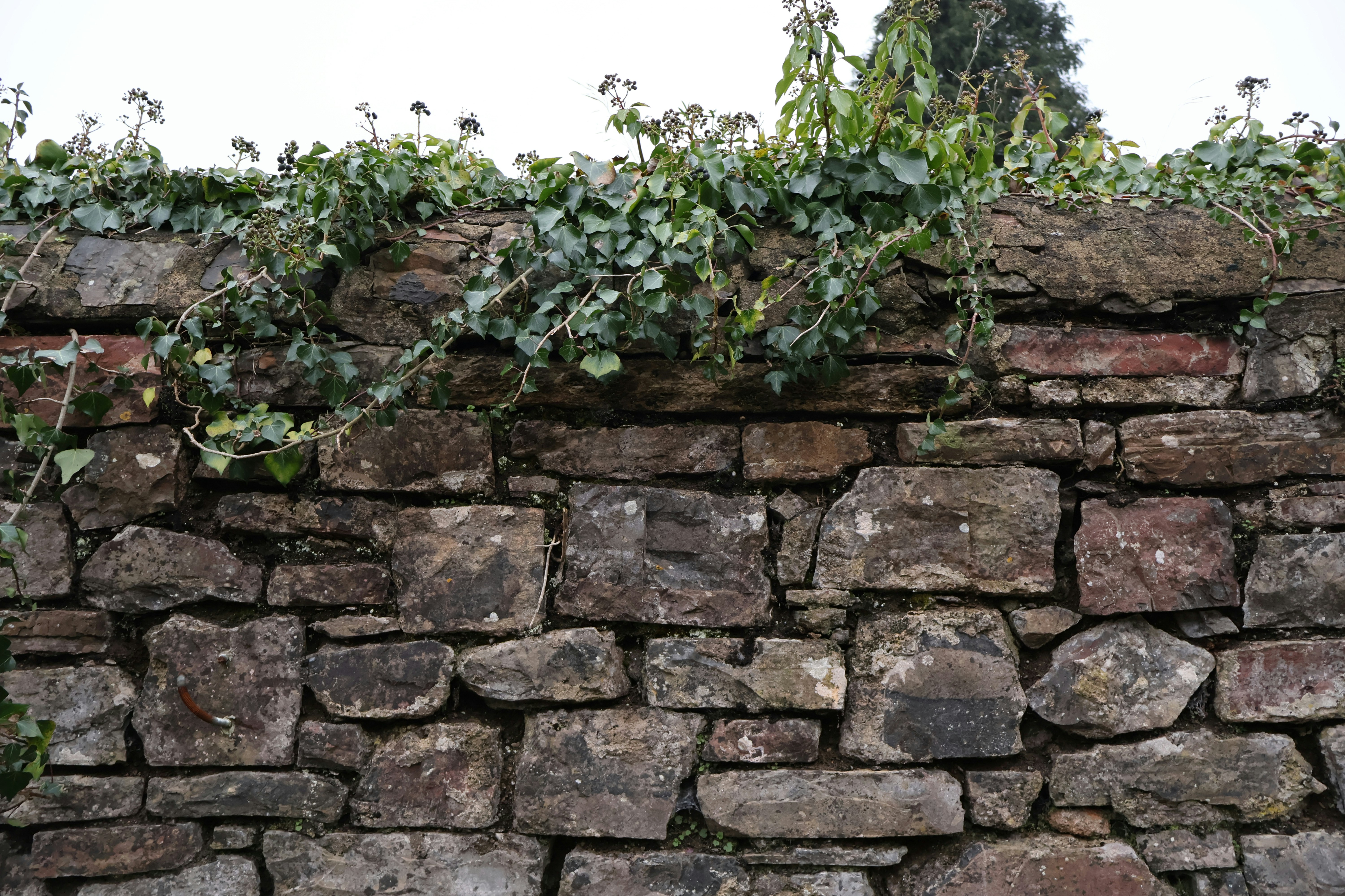 rustic outdoor wallpaper, wallpaper, Rustic Outdoor Patio Ideas: Creating Cozy Spaces 5