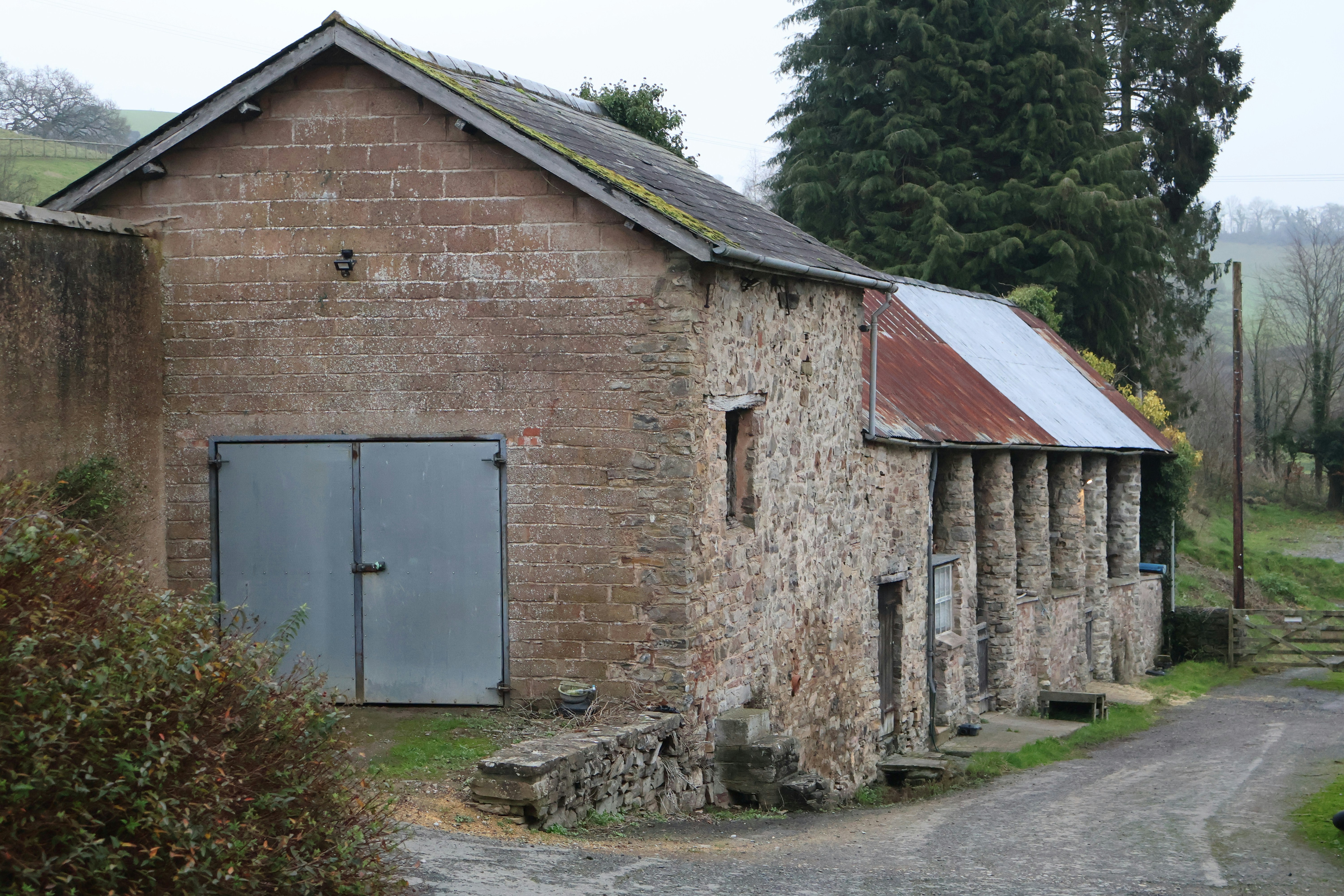 Photo by tanyabarrow