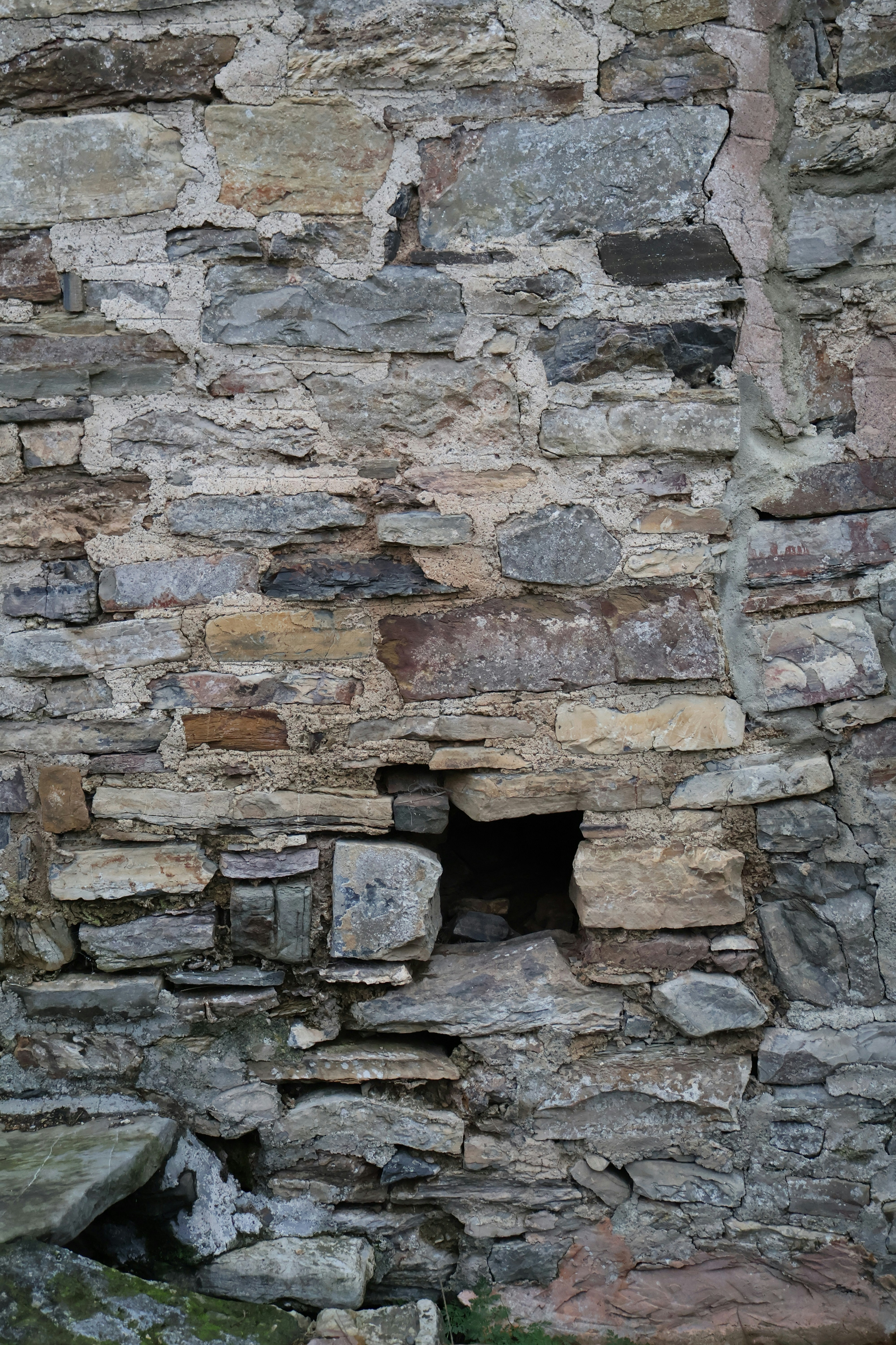 Photo by tanyabarrow