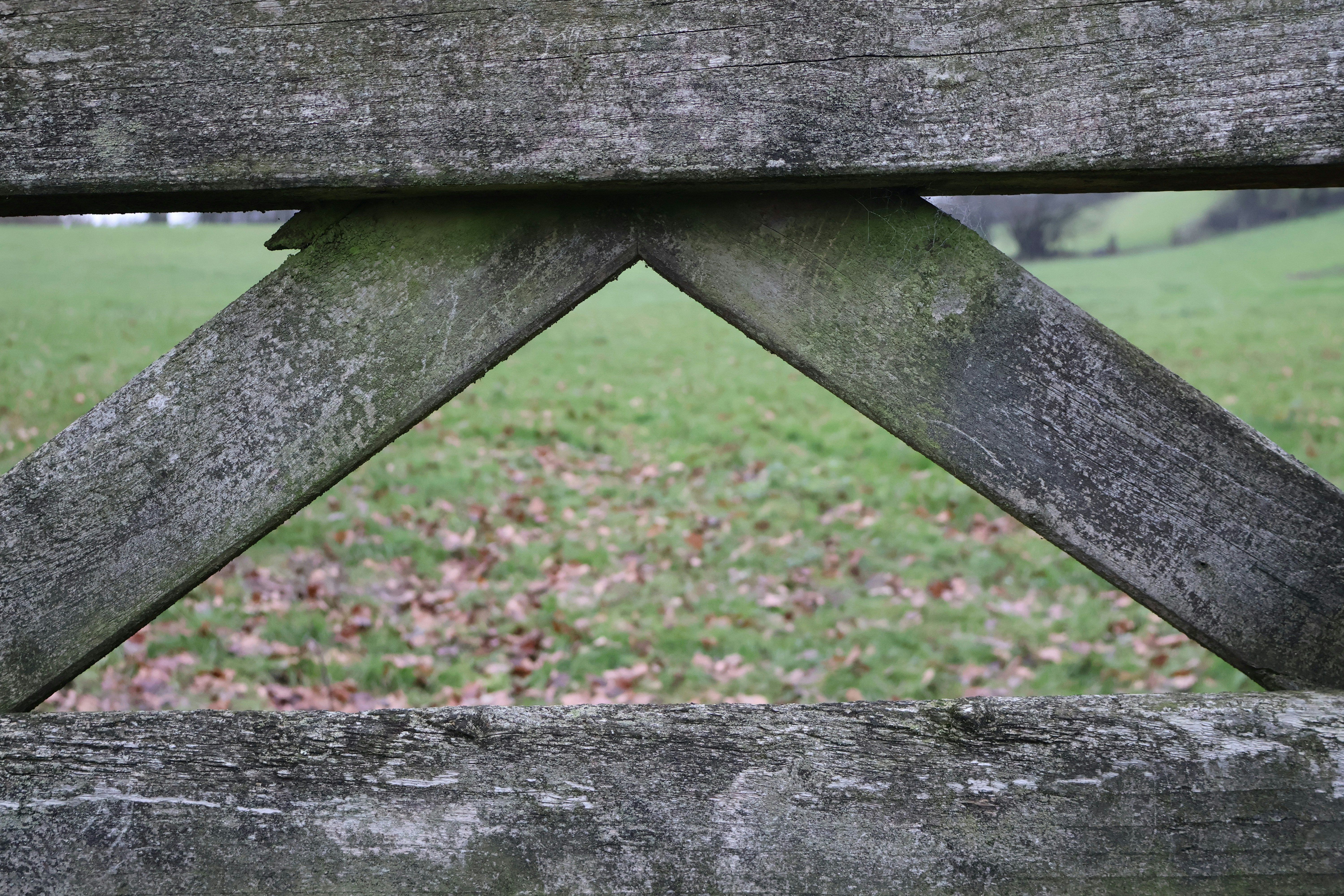 Photo by tanyabarrow