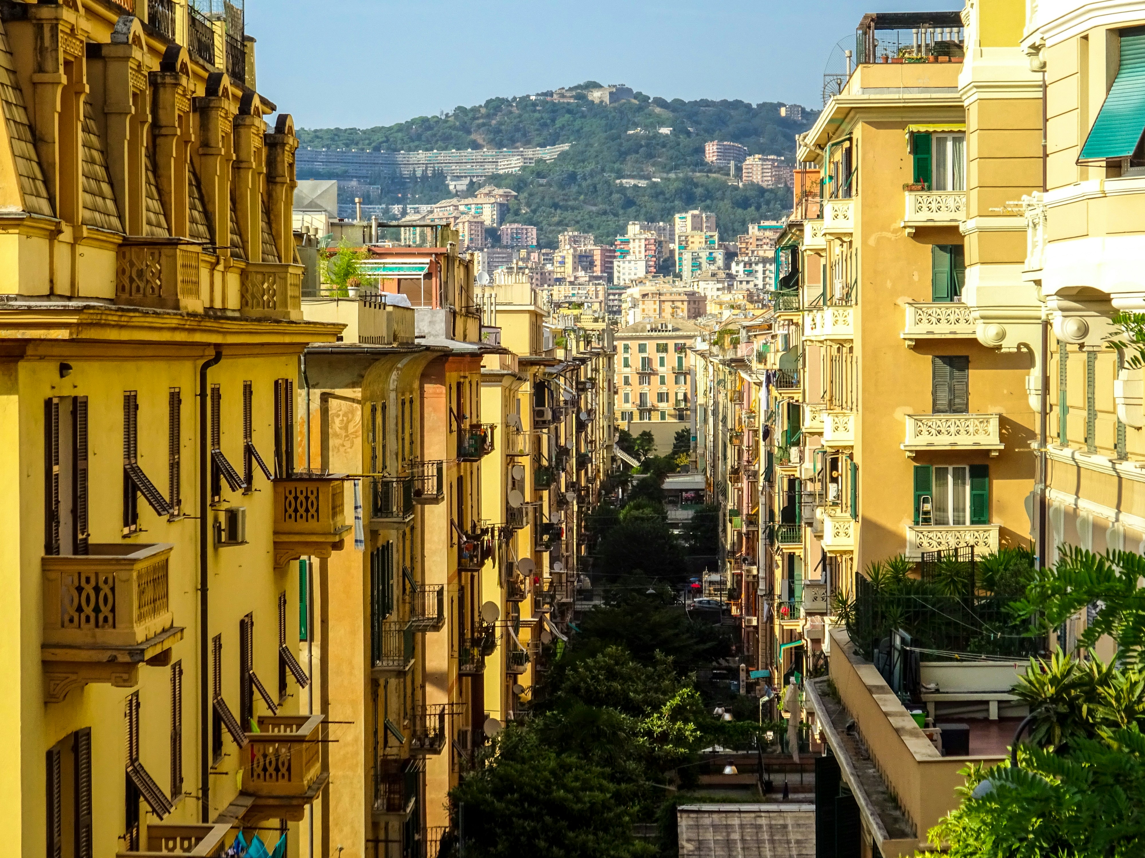 Apartment buildings on a tree-lined street with views of the hills