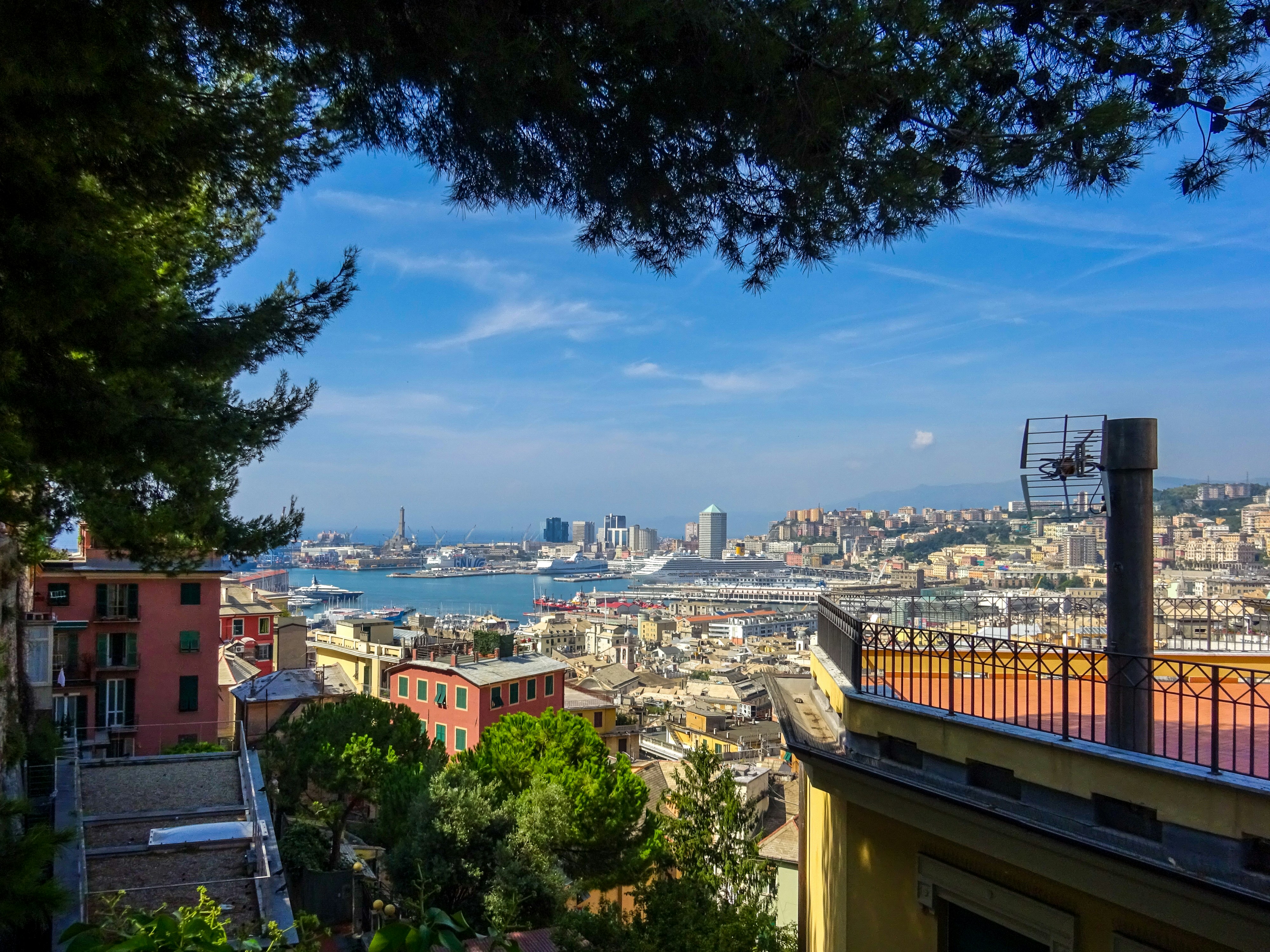 Photo by nikolaikolosov