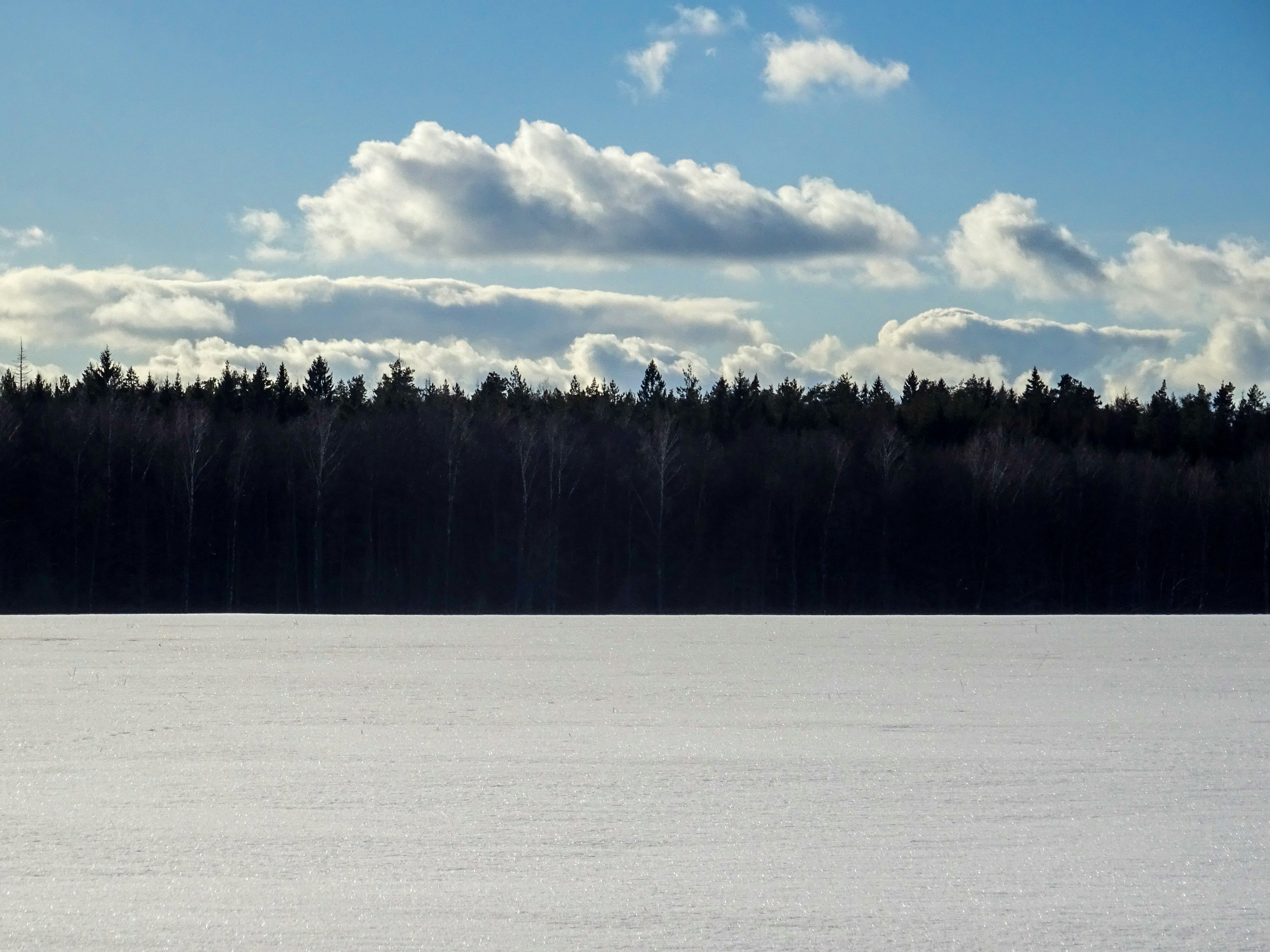 Photo by nikolaikolosov