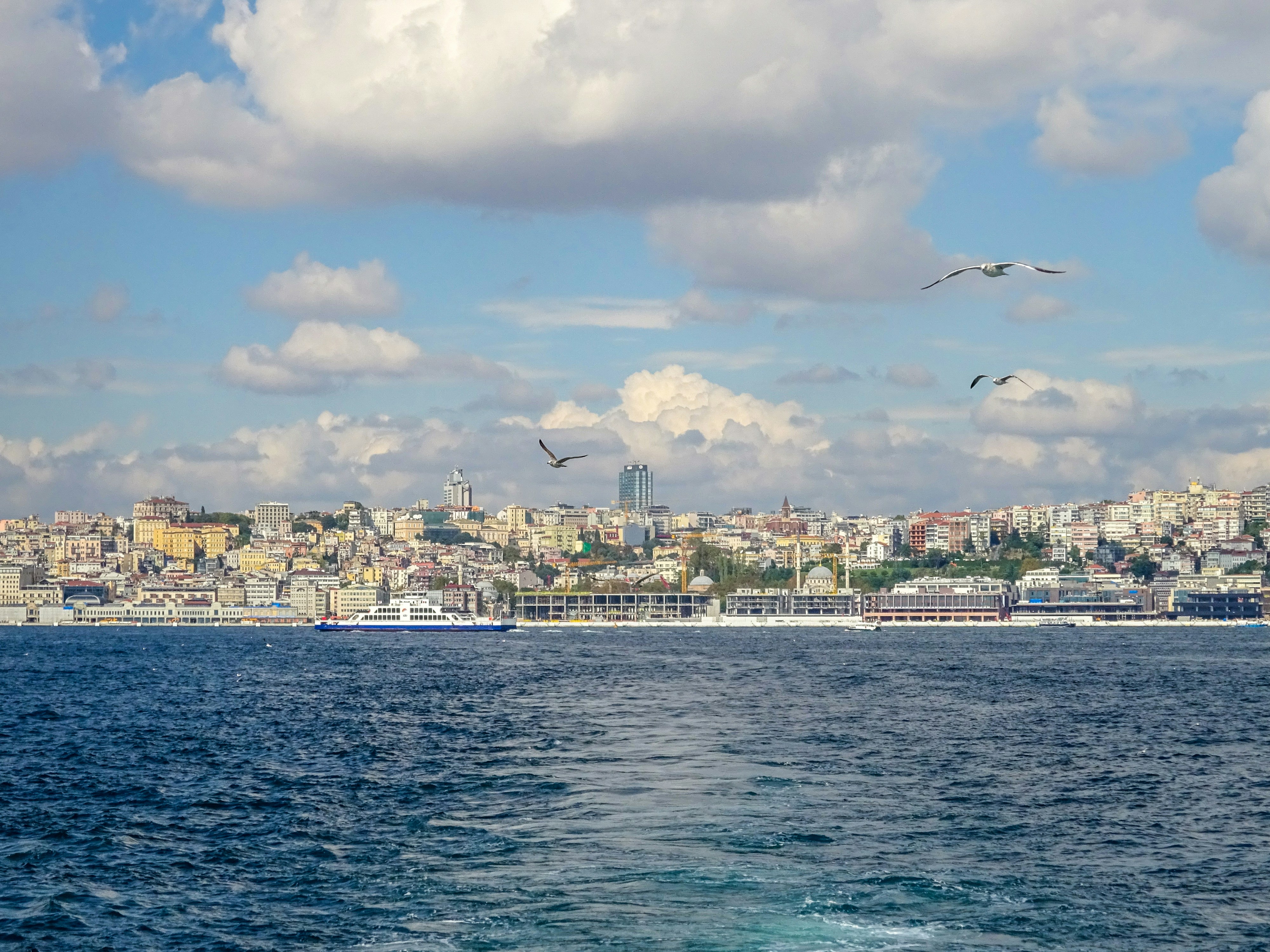 Photo by nikolaikolosov