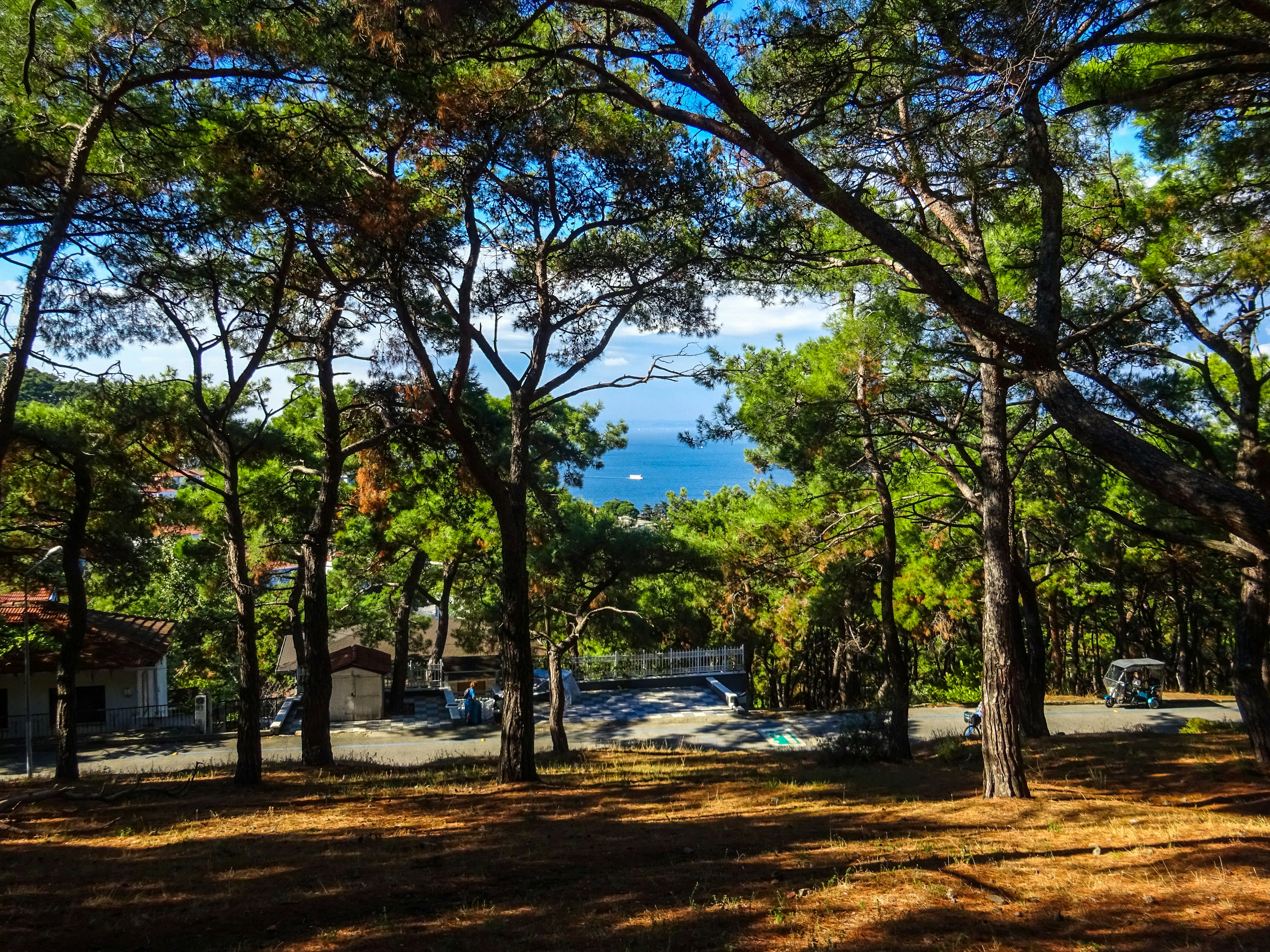 Central Beach