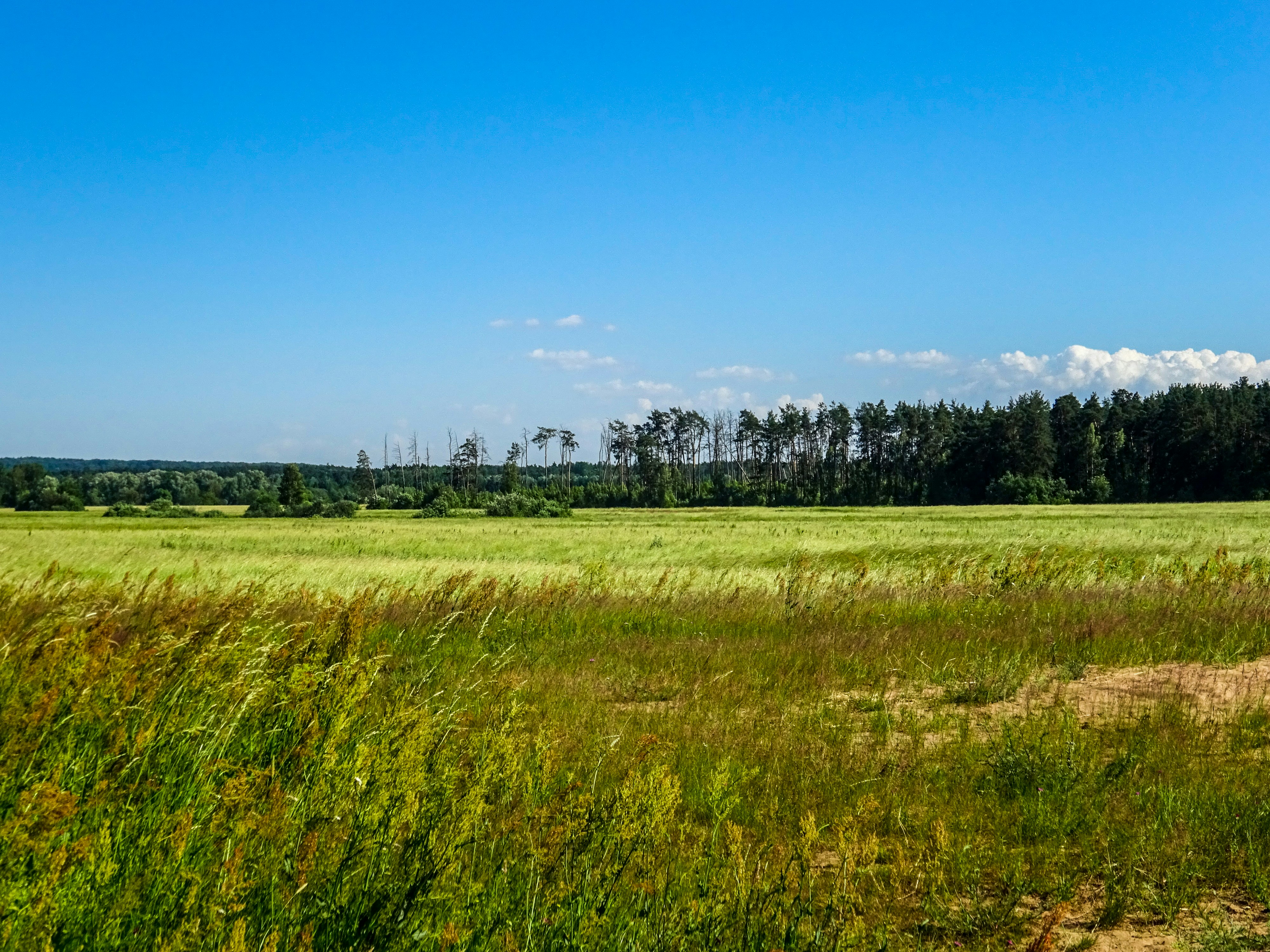 Photo by nikolaikolosov