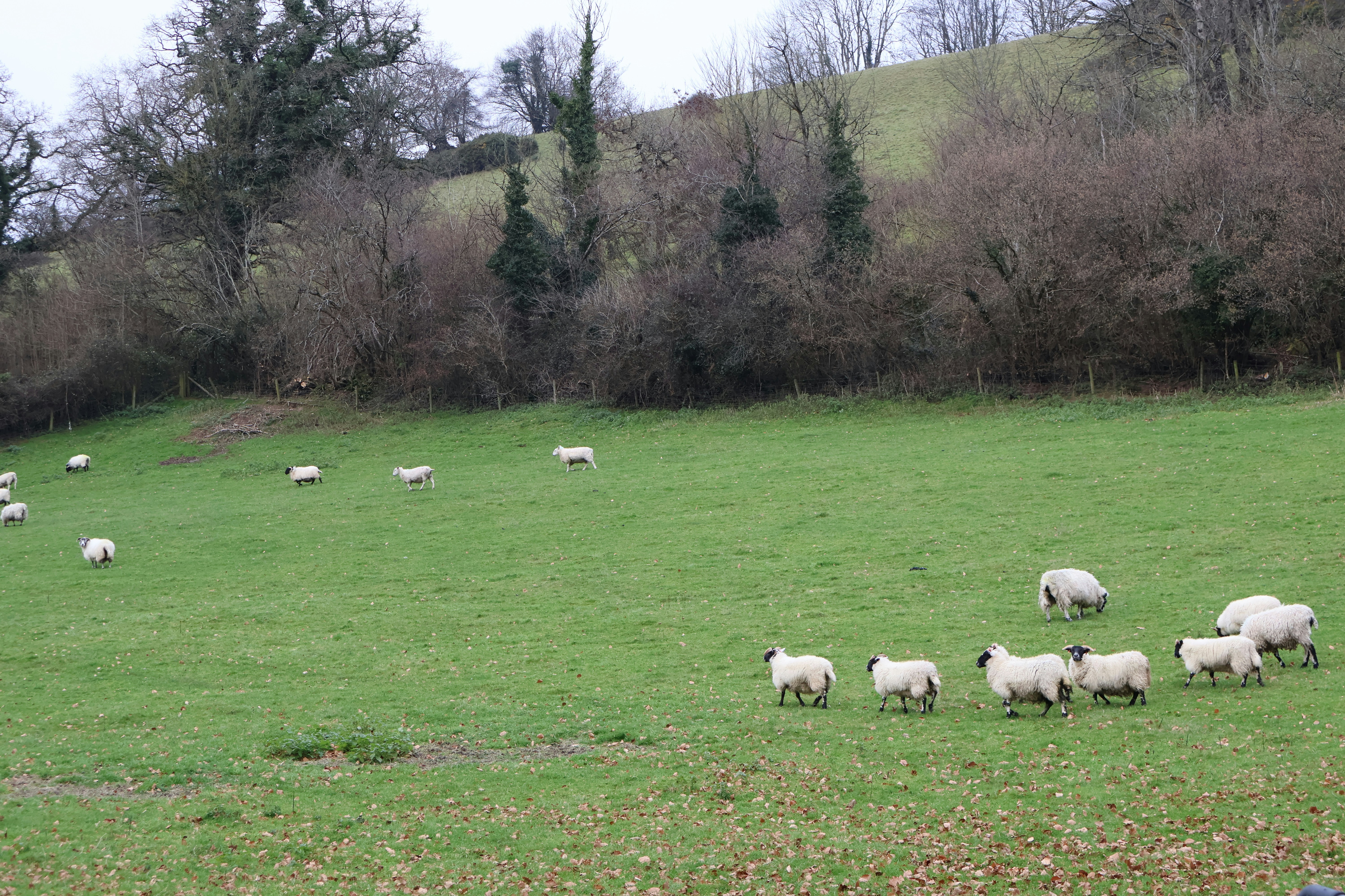 Photo by tanyabarrow