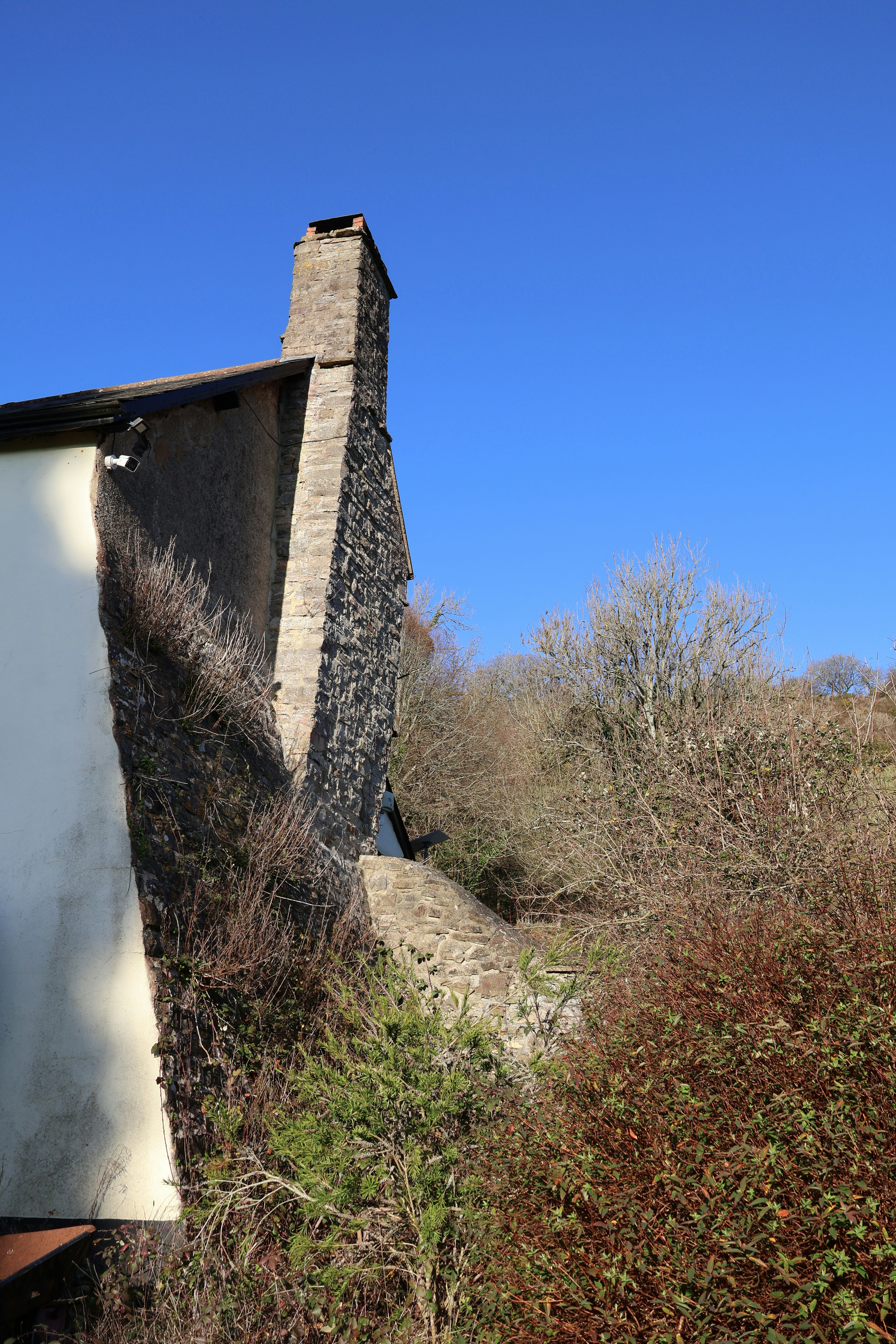 Photo by tanyabarrow