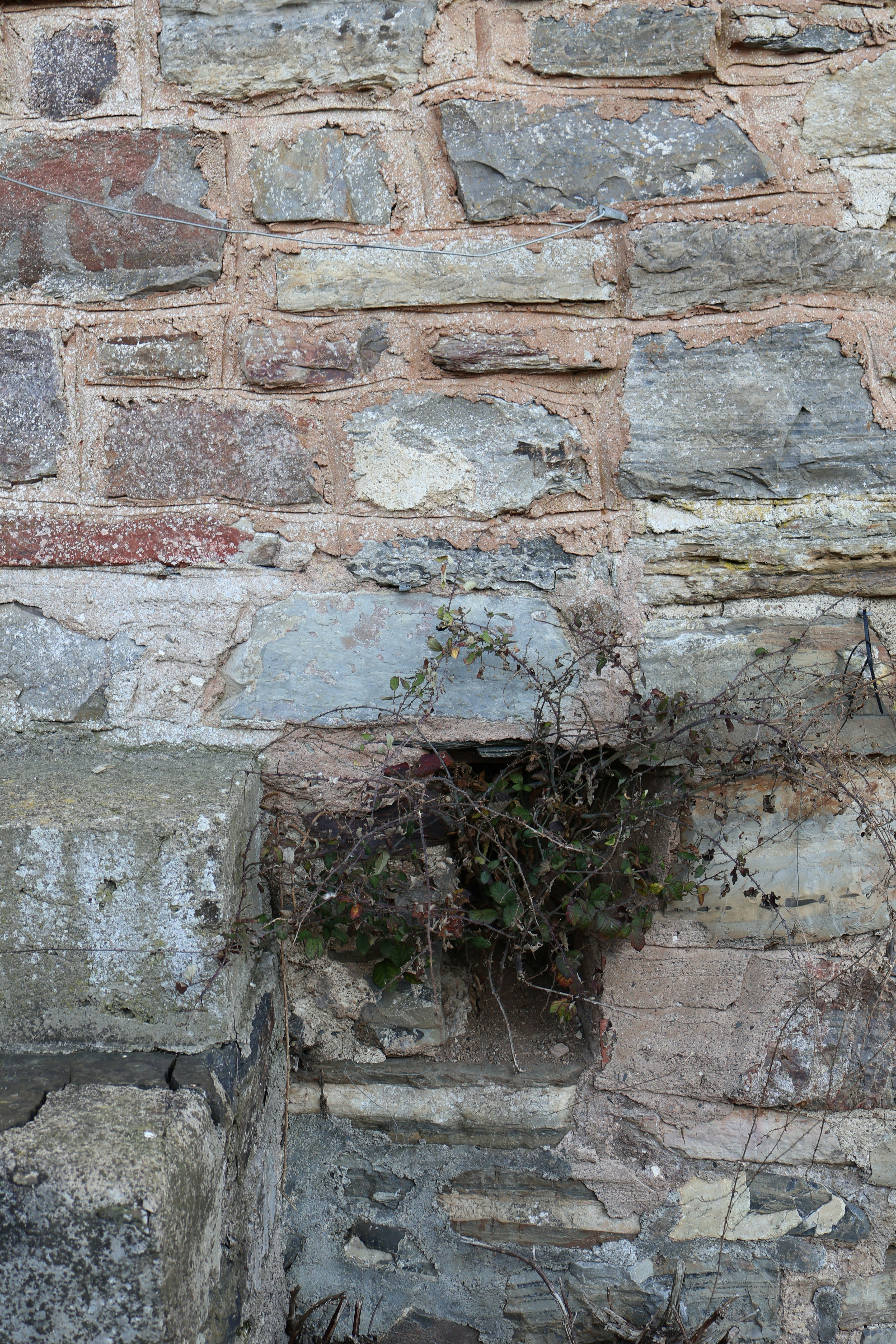 Photo by tanyabarrow