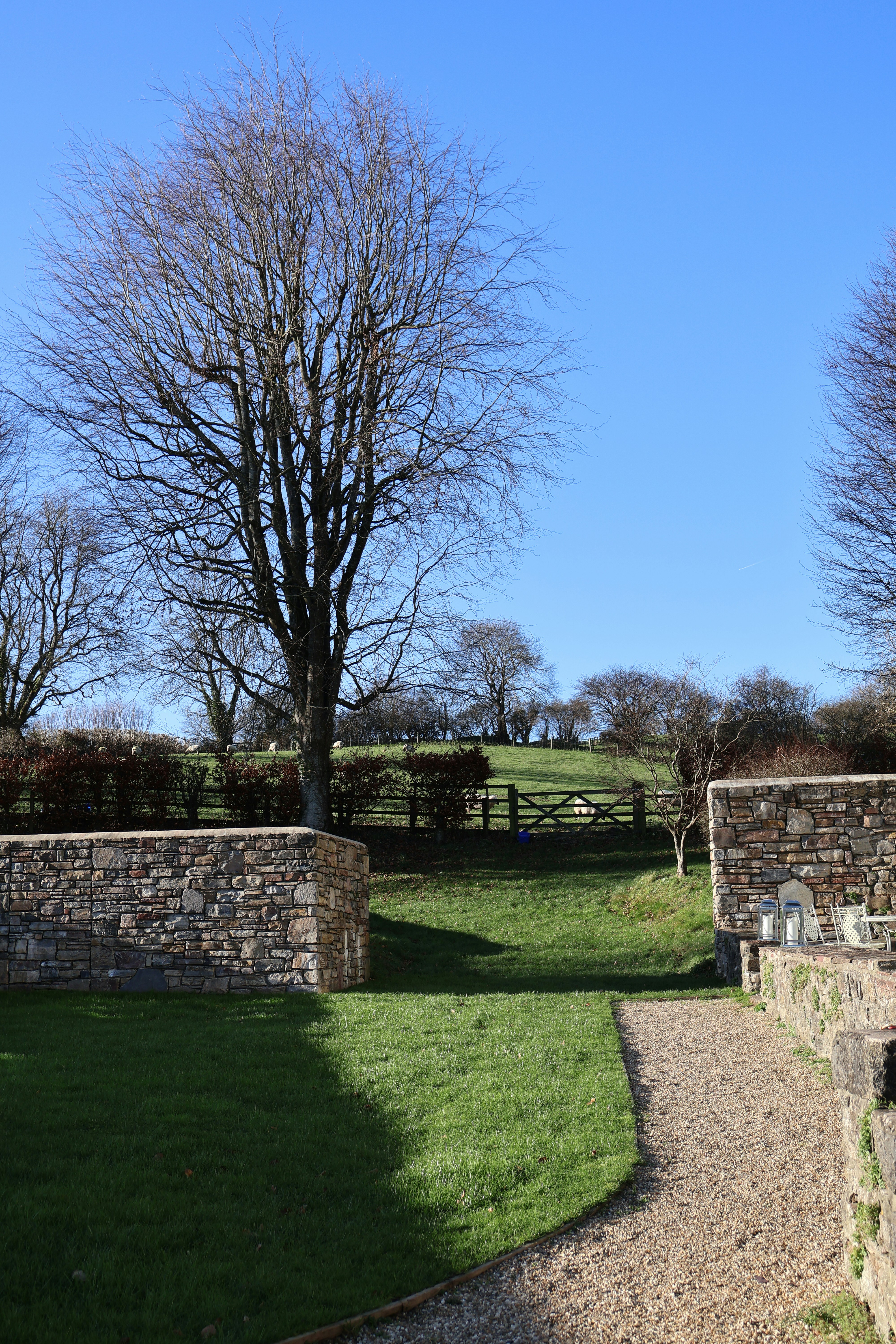 Photo by tanyabarrow