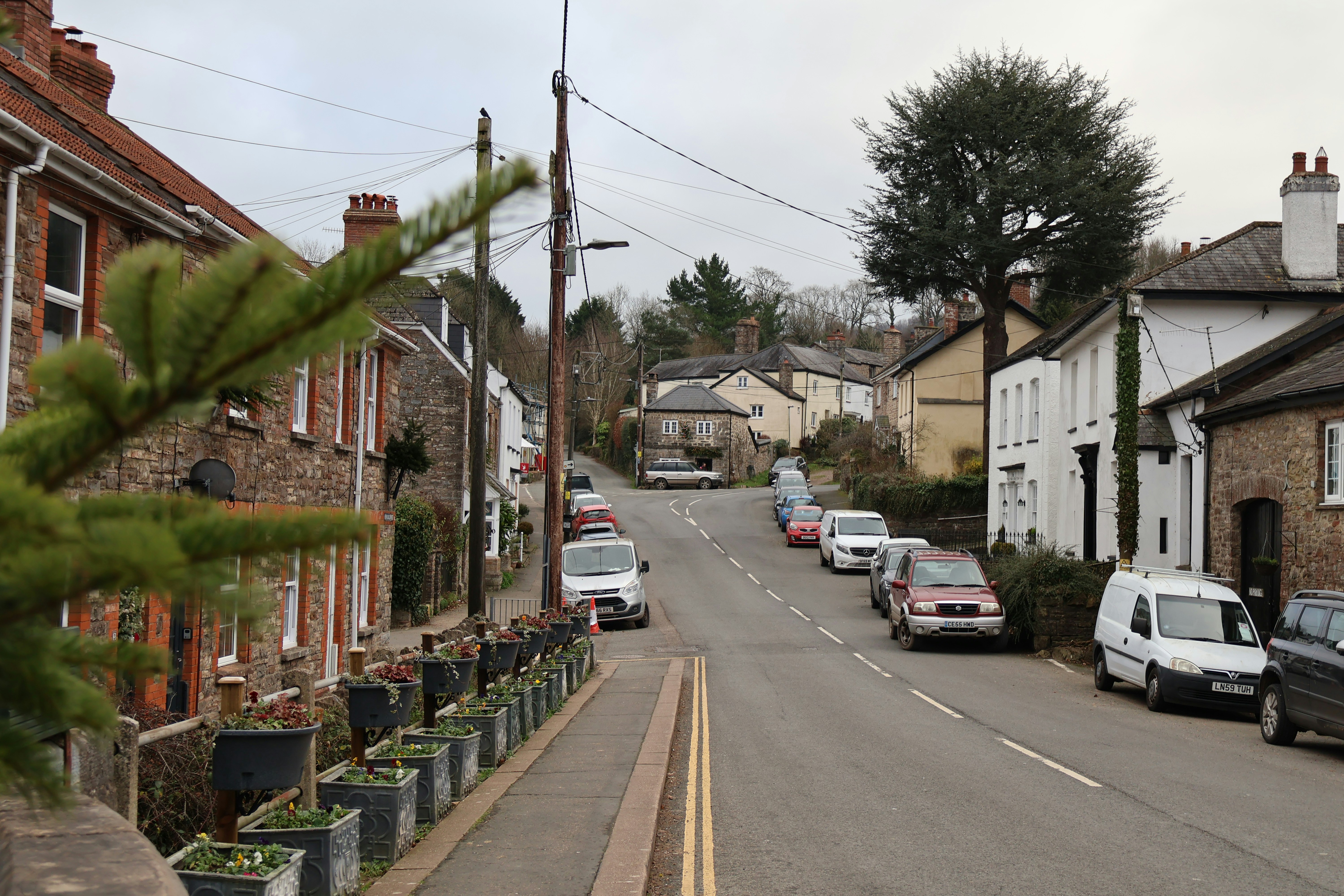 Photo by tanyabarrow