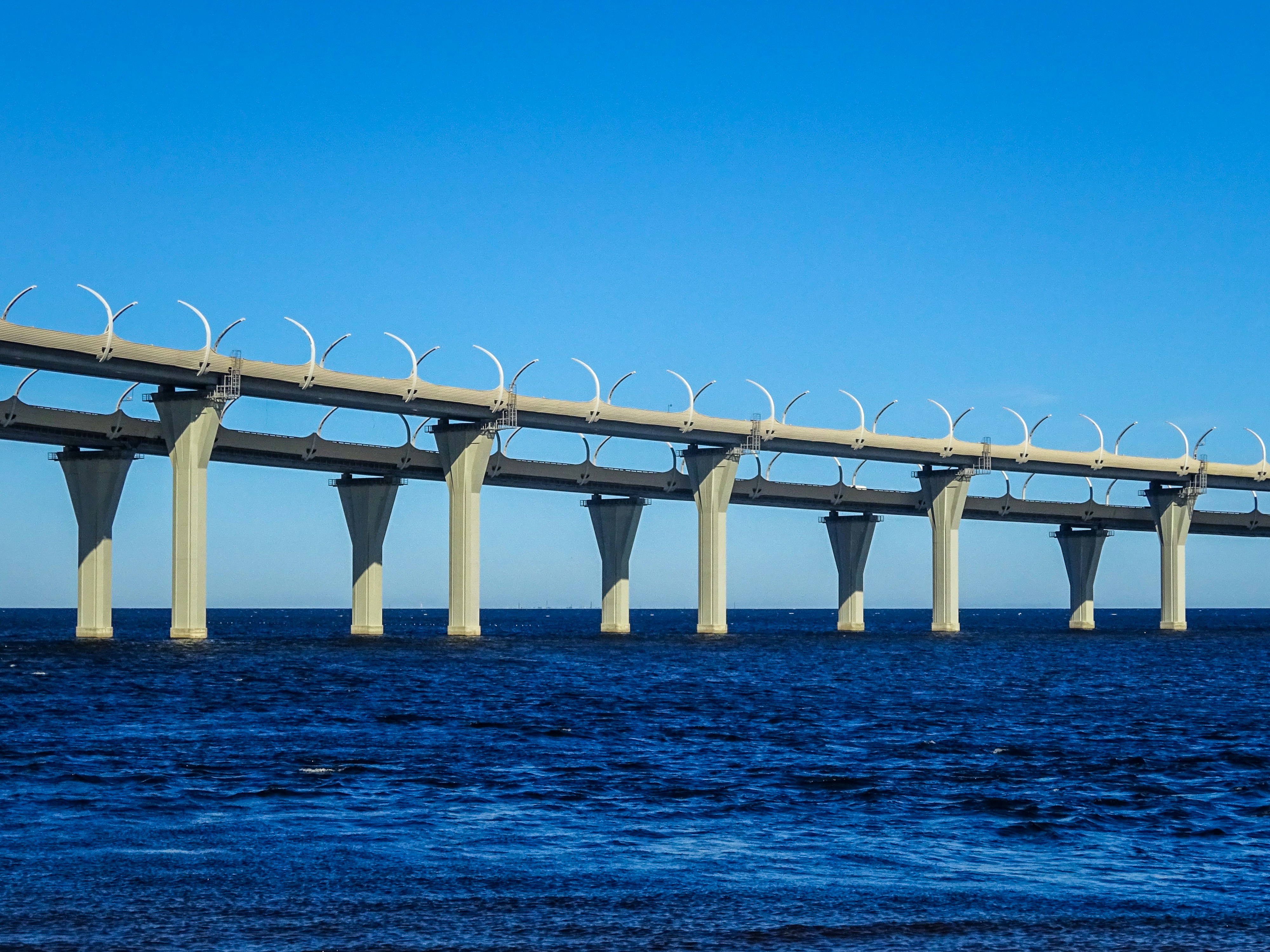 Photo by nikolaikolosov