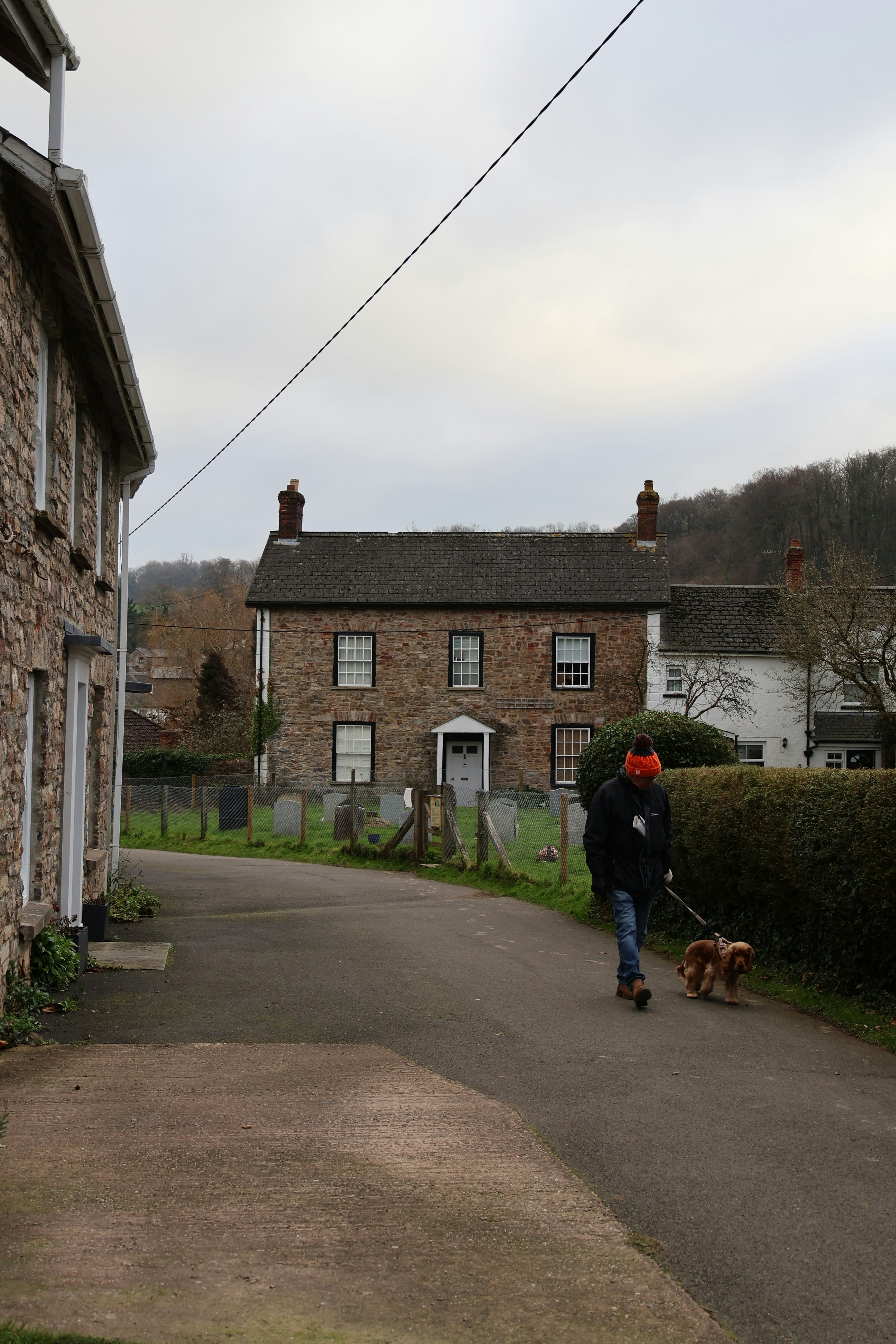 Person walks two dogs down a quiet street.