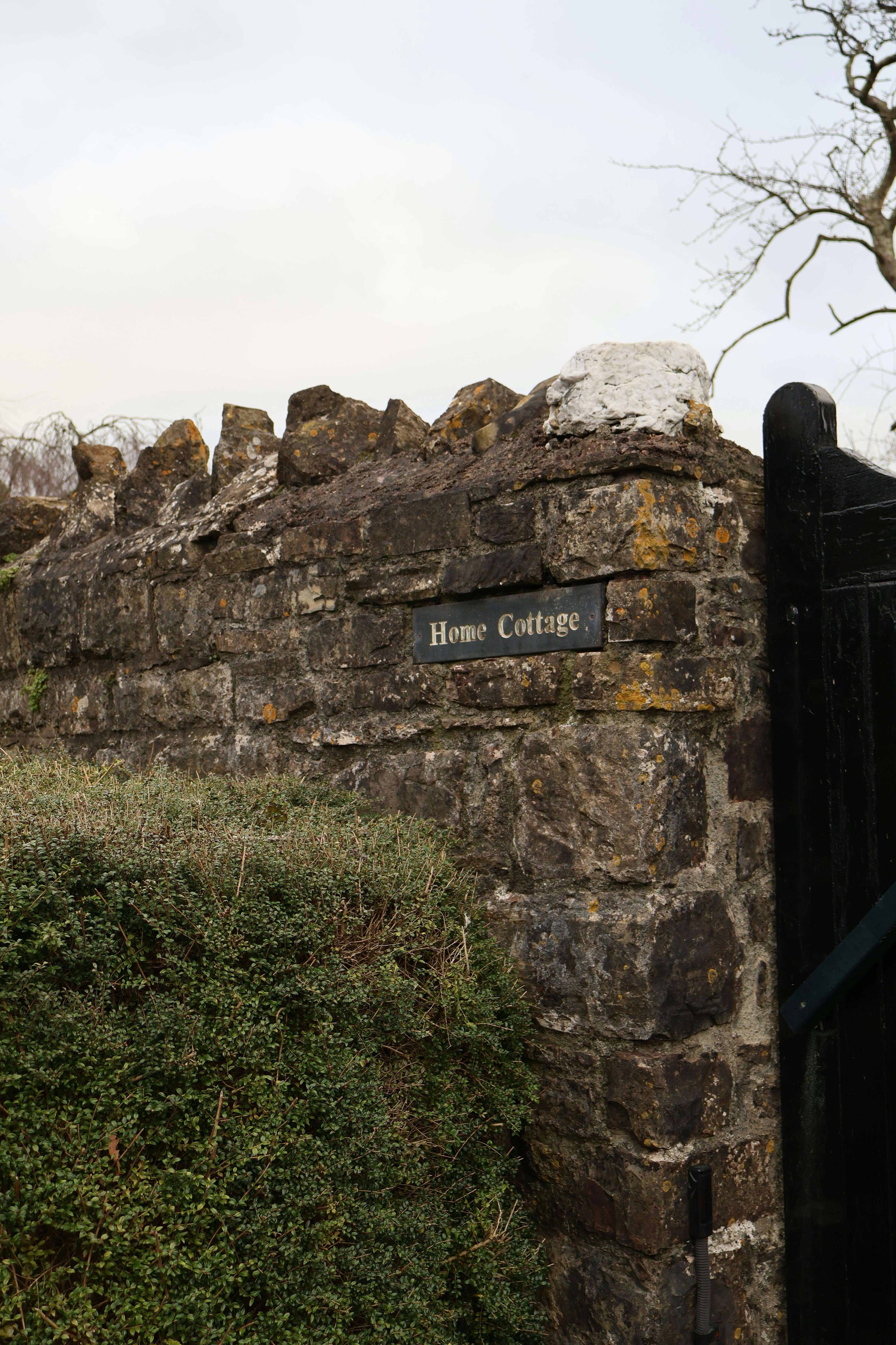 Photo by tanyabarrow