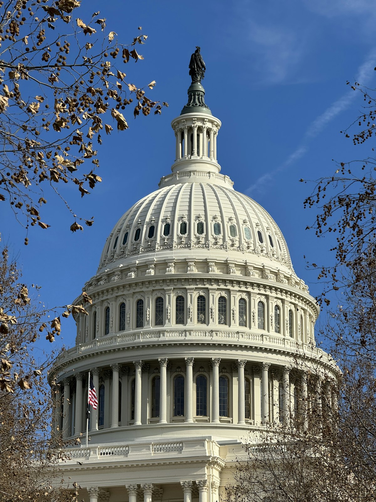 Anthropicが米政府から追放された全理由——「AI安全性」を譲らなかった企業の賭け