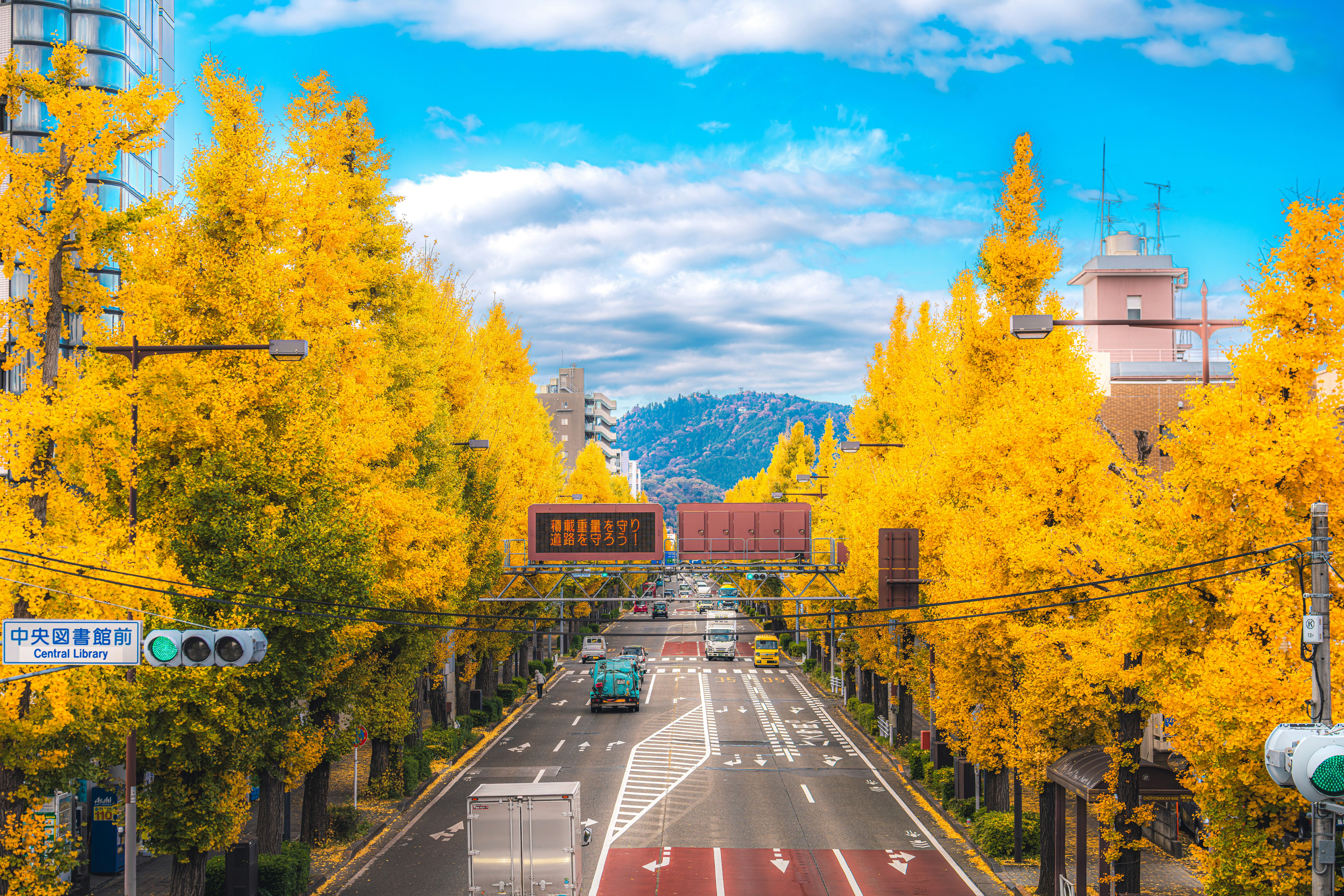 A street lined with vibrant yellow trees in autumn.