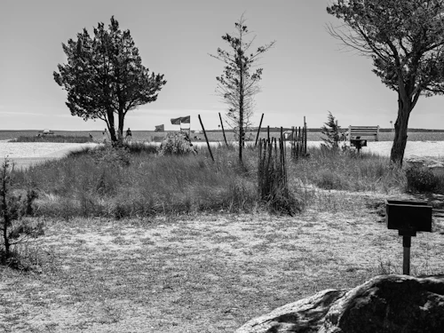 Emplacement barbecue en pleine nature — NaturiaGo