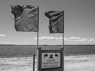 Red flags fly over a beach with a warning sign