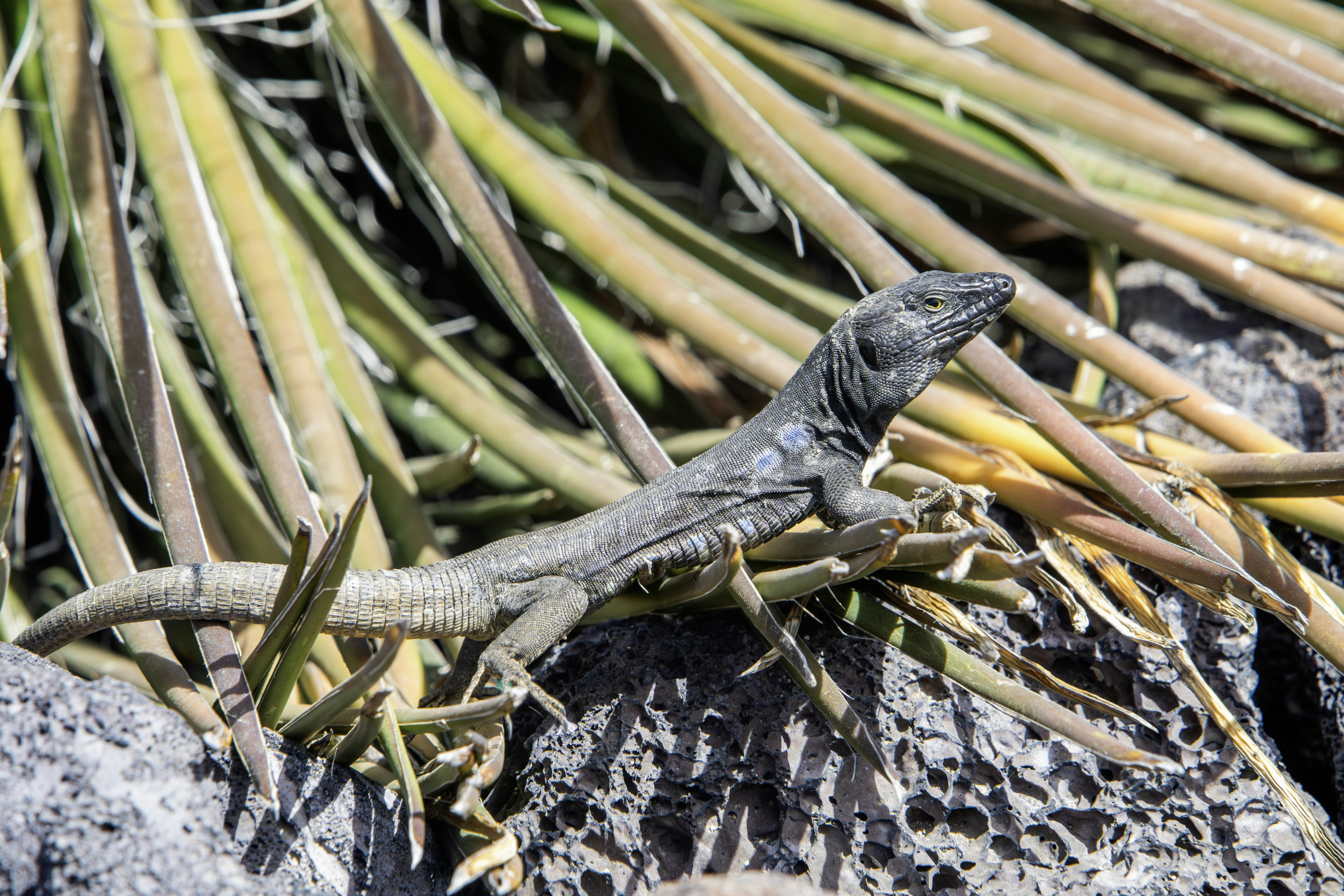 Photo by erik_karits