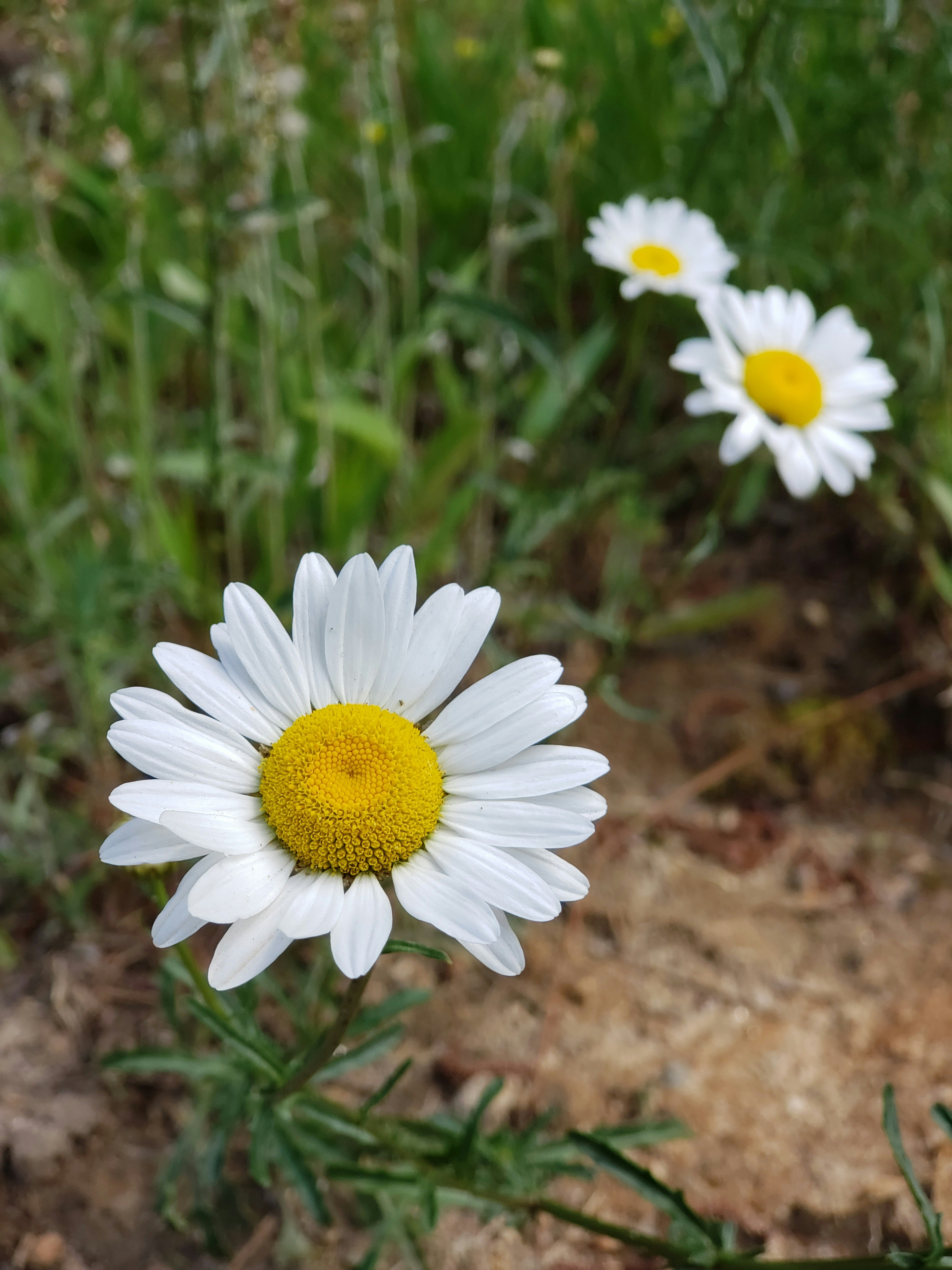 Photo by kattermadhatter