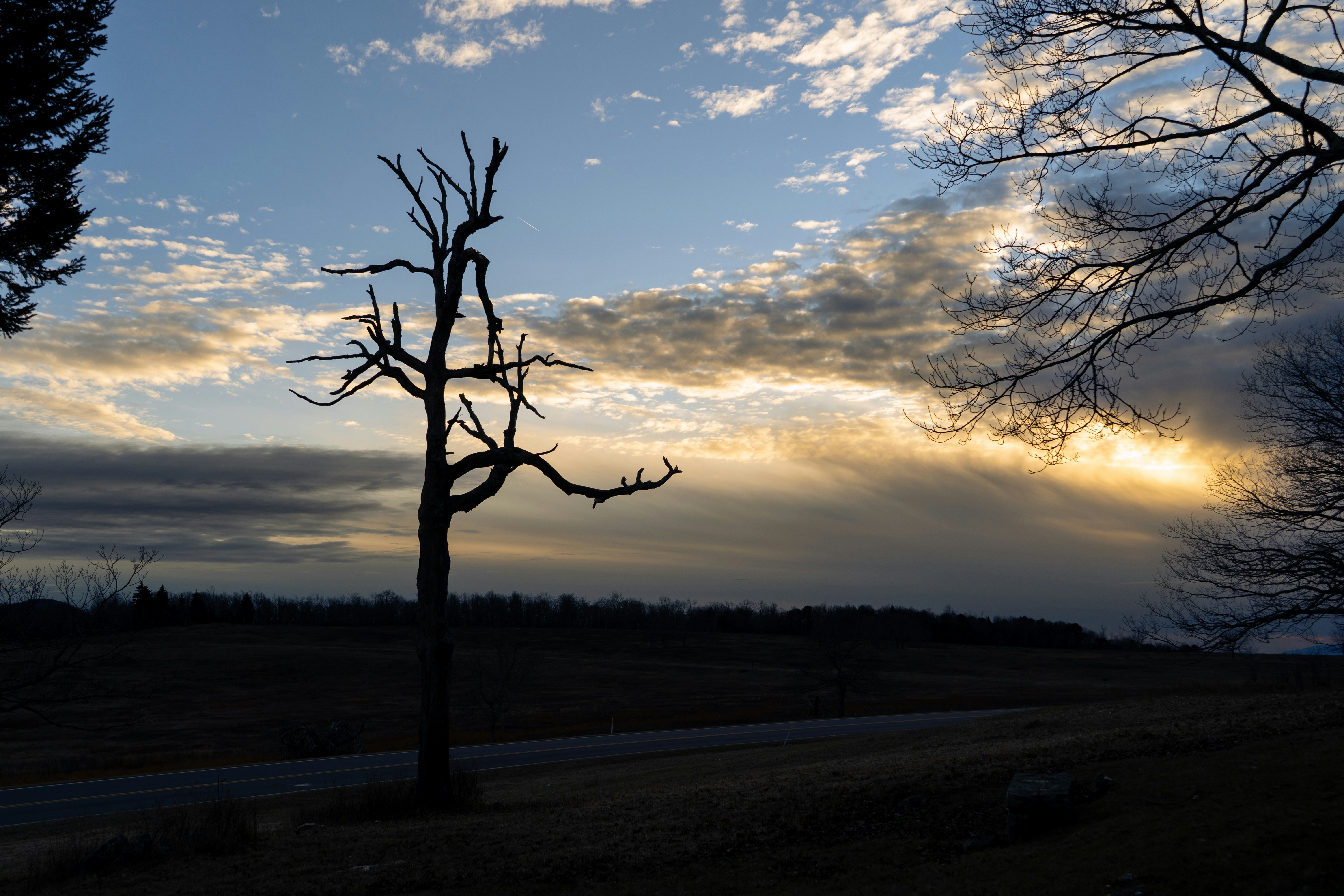 Photo by bhargavpanchal1986