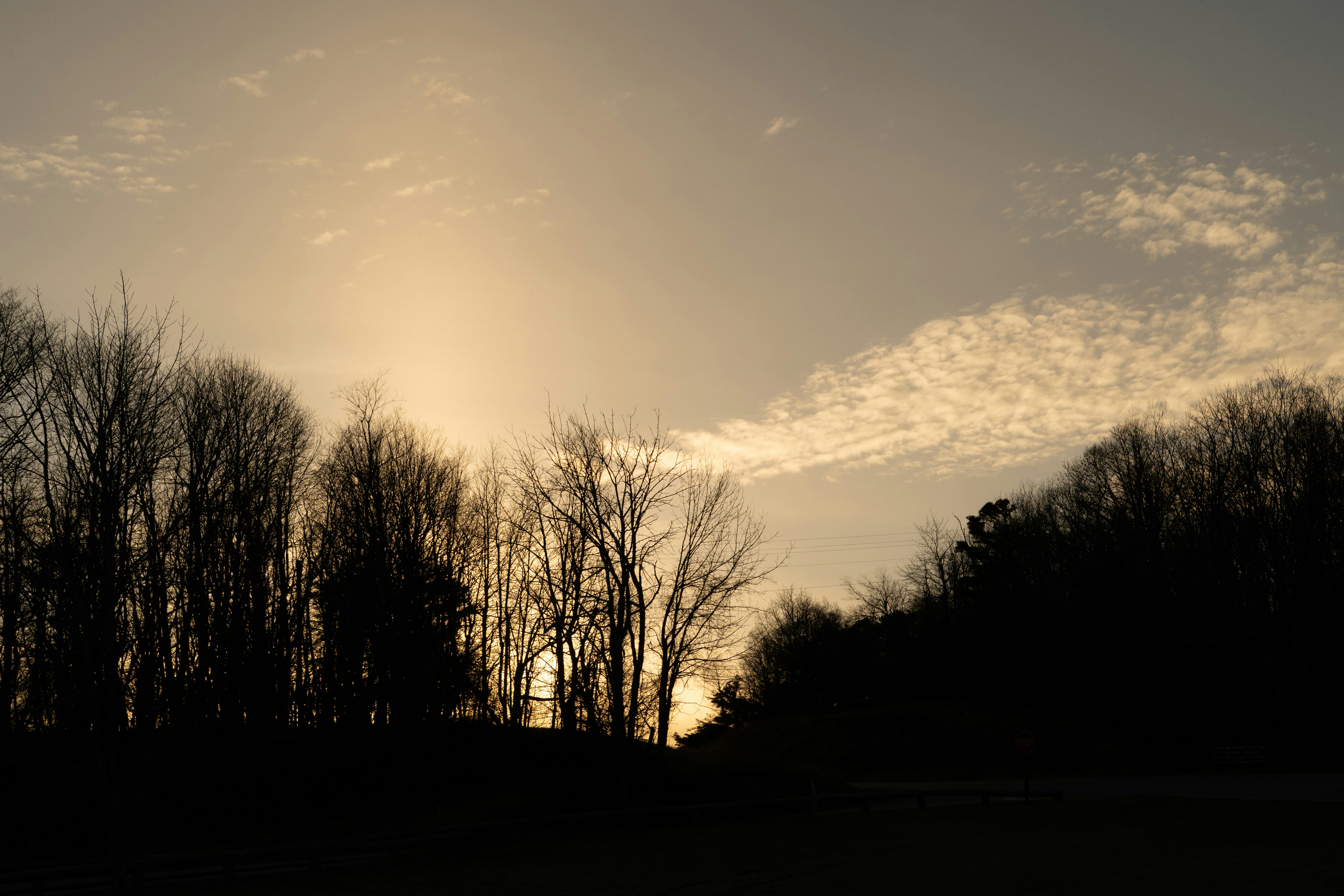 Photo by bhargavpanchal1986