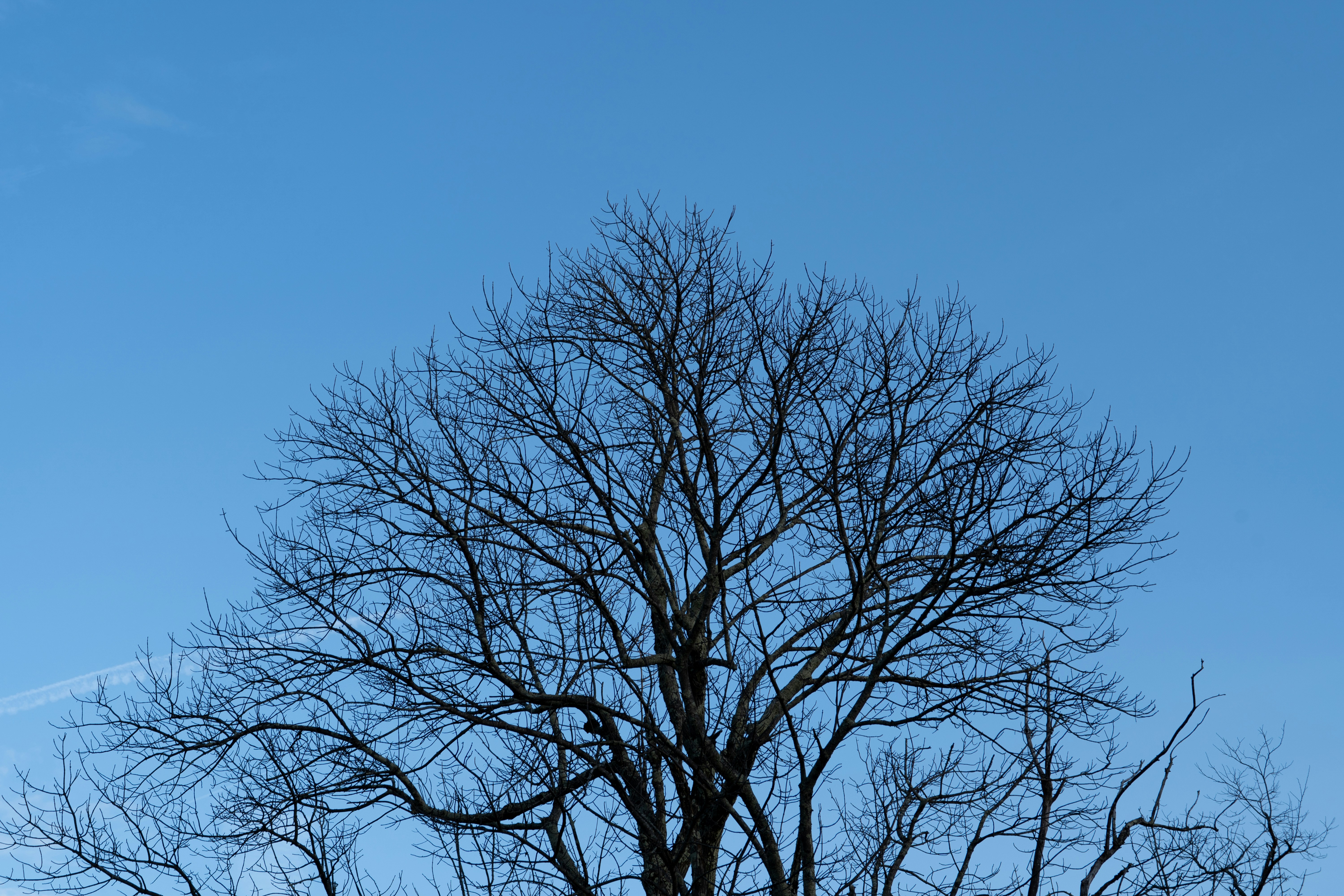 Photo by bhargavpanchal1986