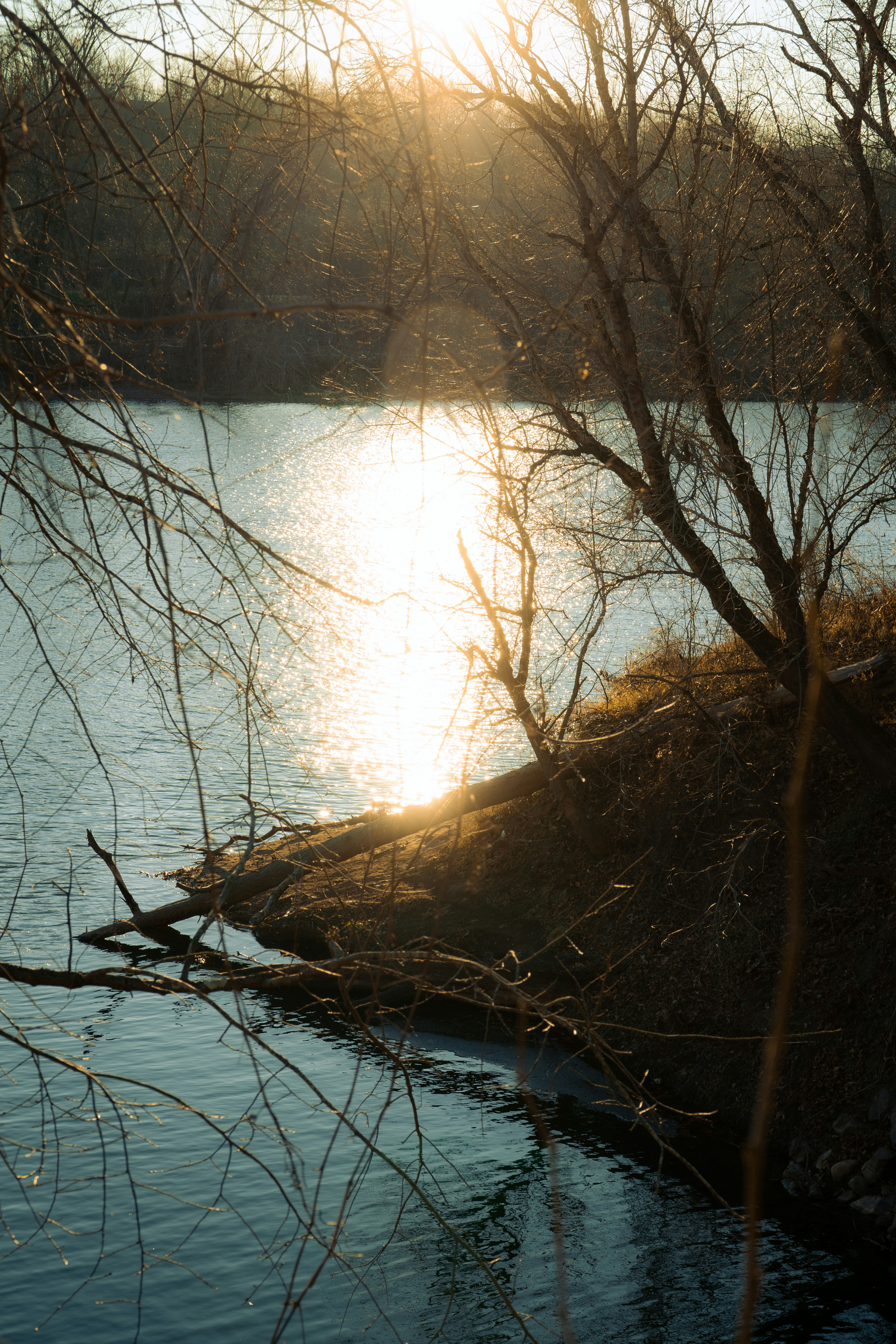 Photo by bhargavpanchal1986