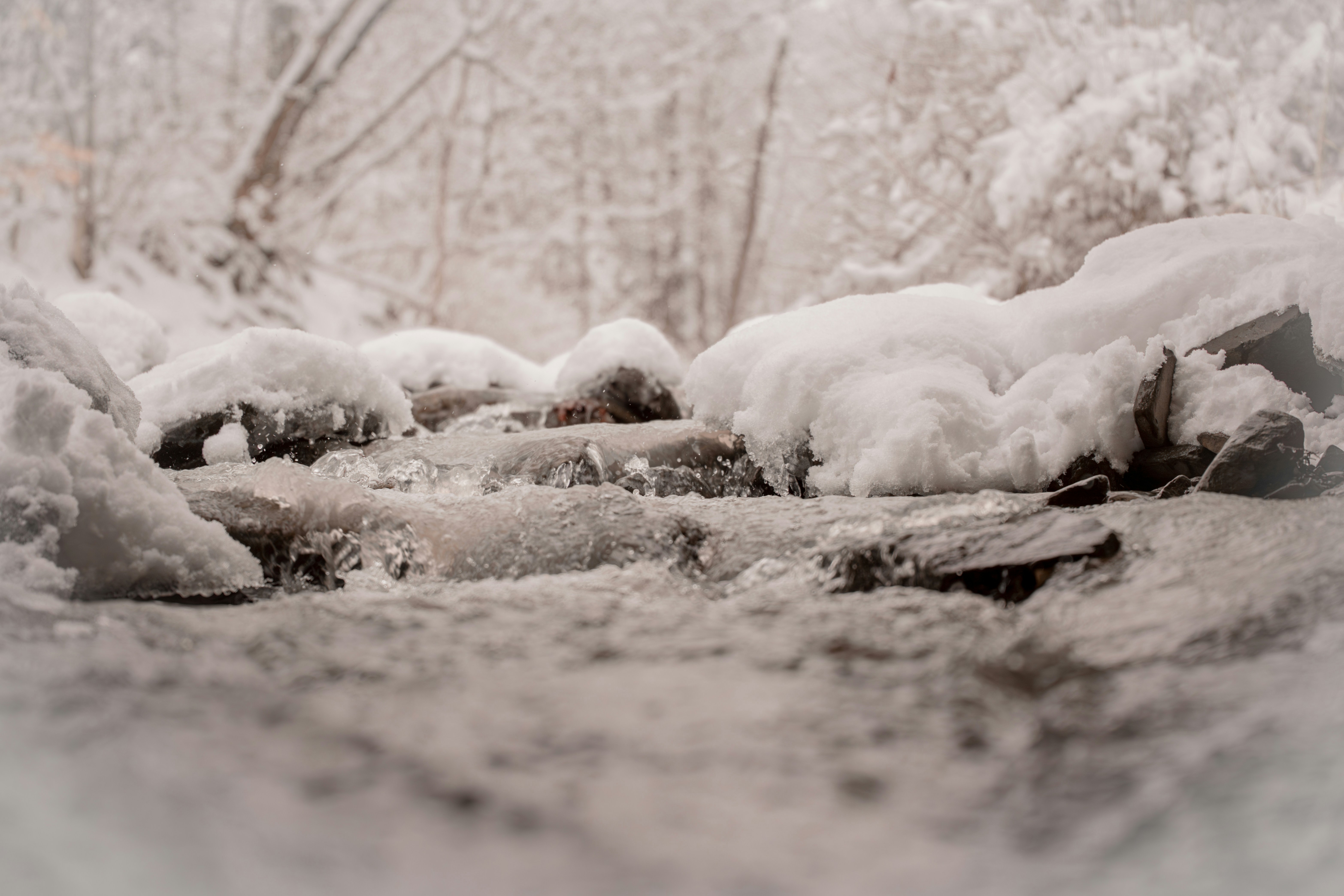 Snow covered rocks in a winter forest