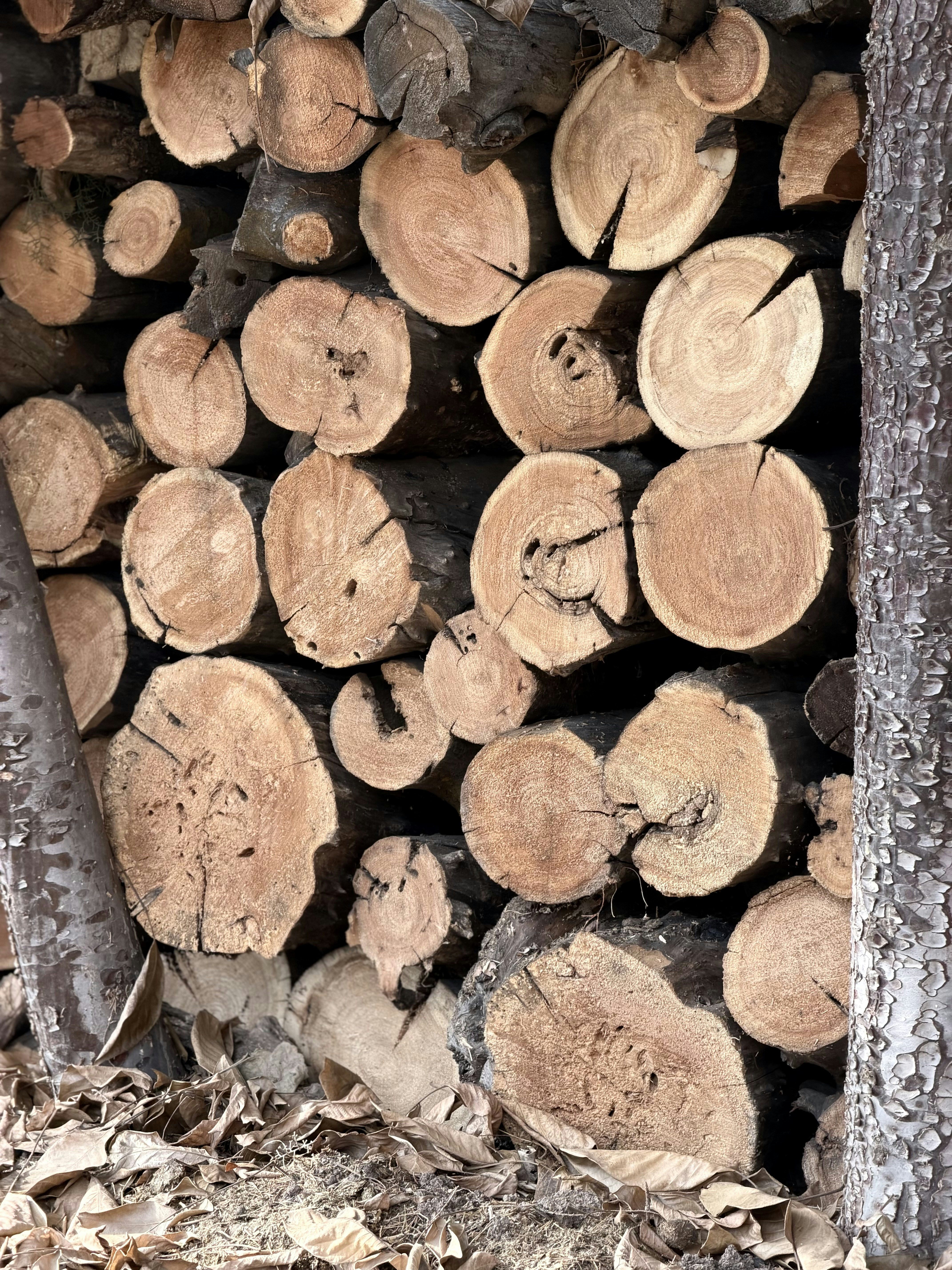 切り出した薪の山