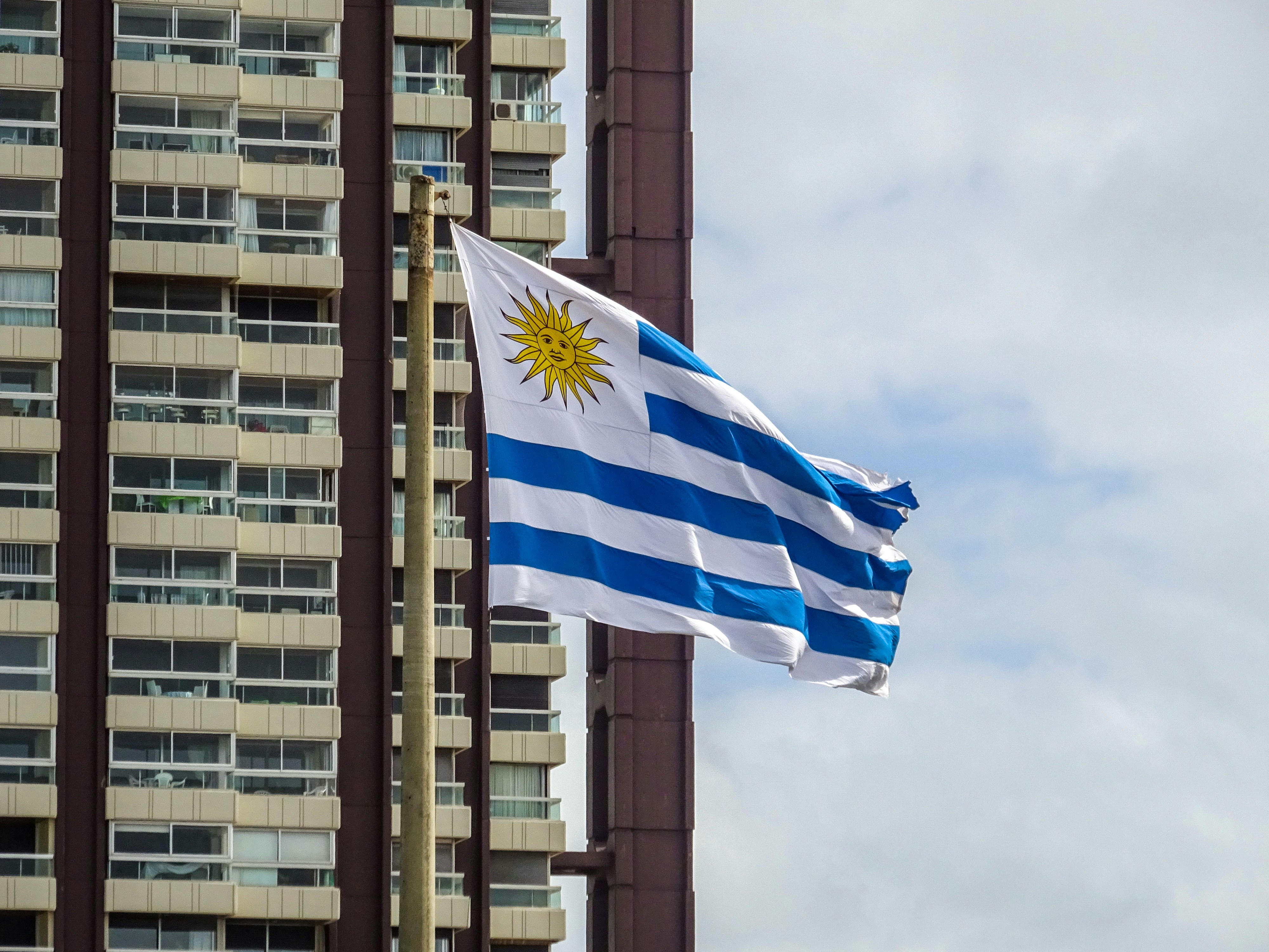 Uruguayan flag waving in front of a modern building.