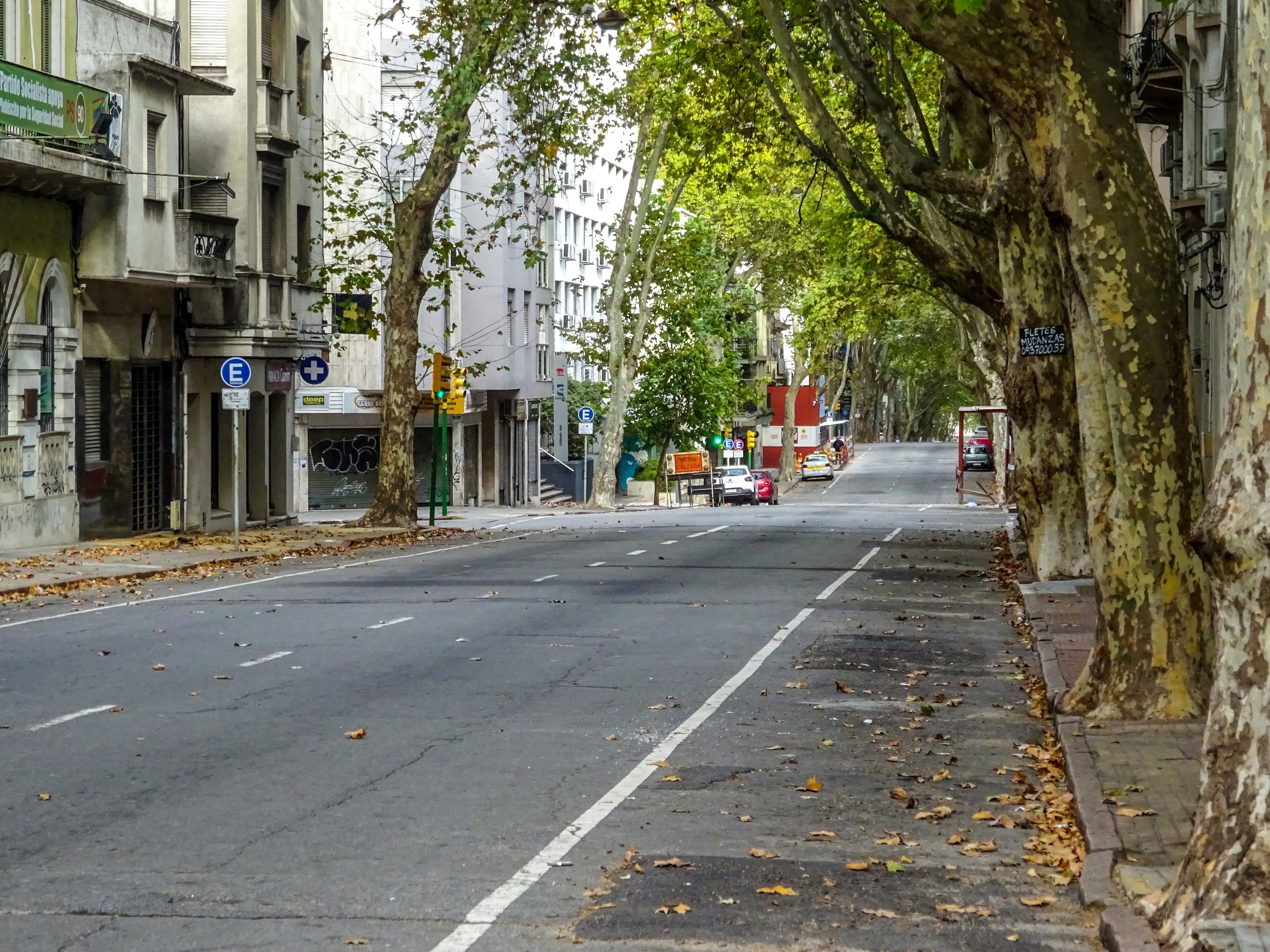 Photo by nikolaikolosov