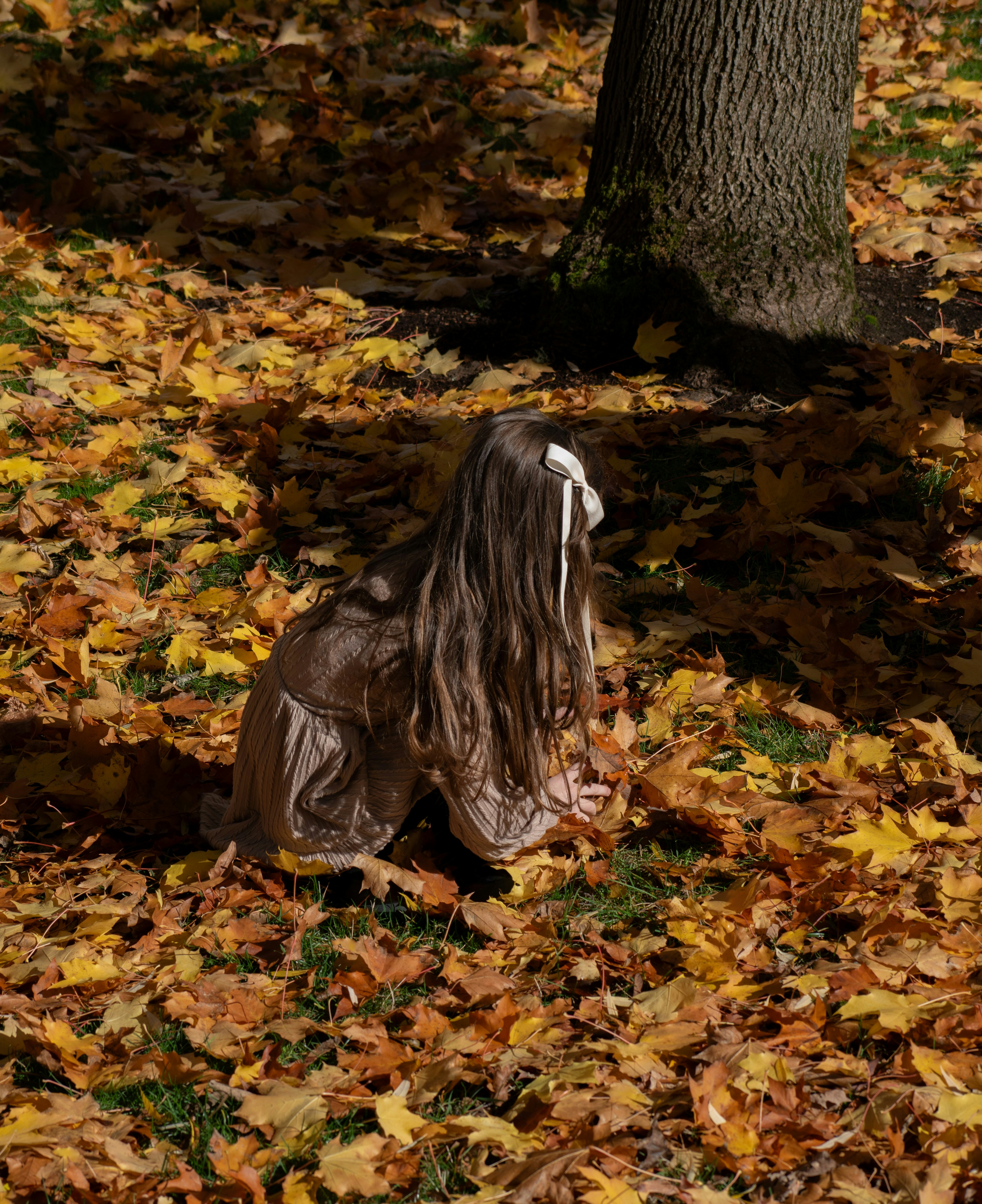 ドレスを着た若い少女が秋の落ち葉で遊んでいる