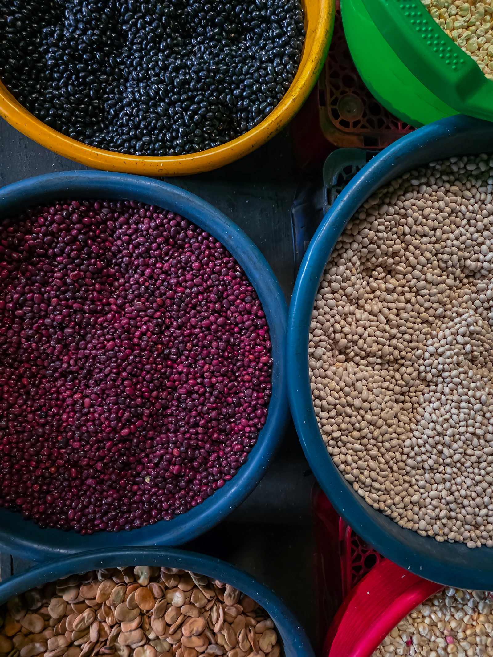 Wide plastic bowls of lentils and pulses in several colours, photographed from directly above