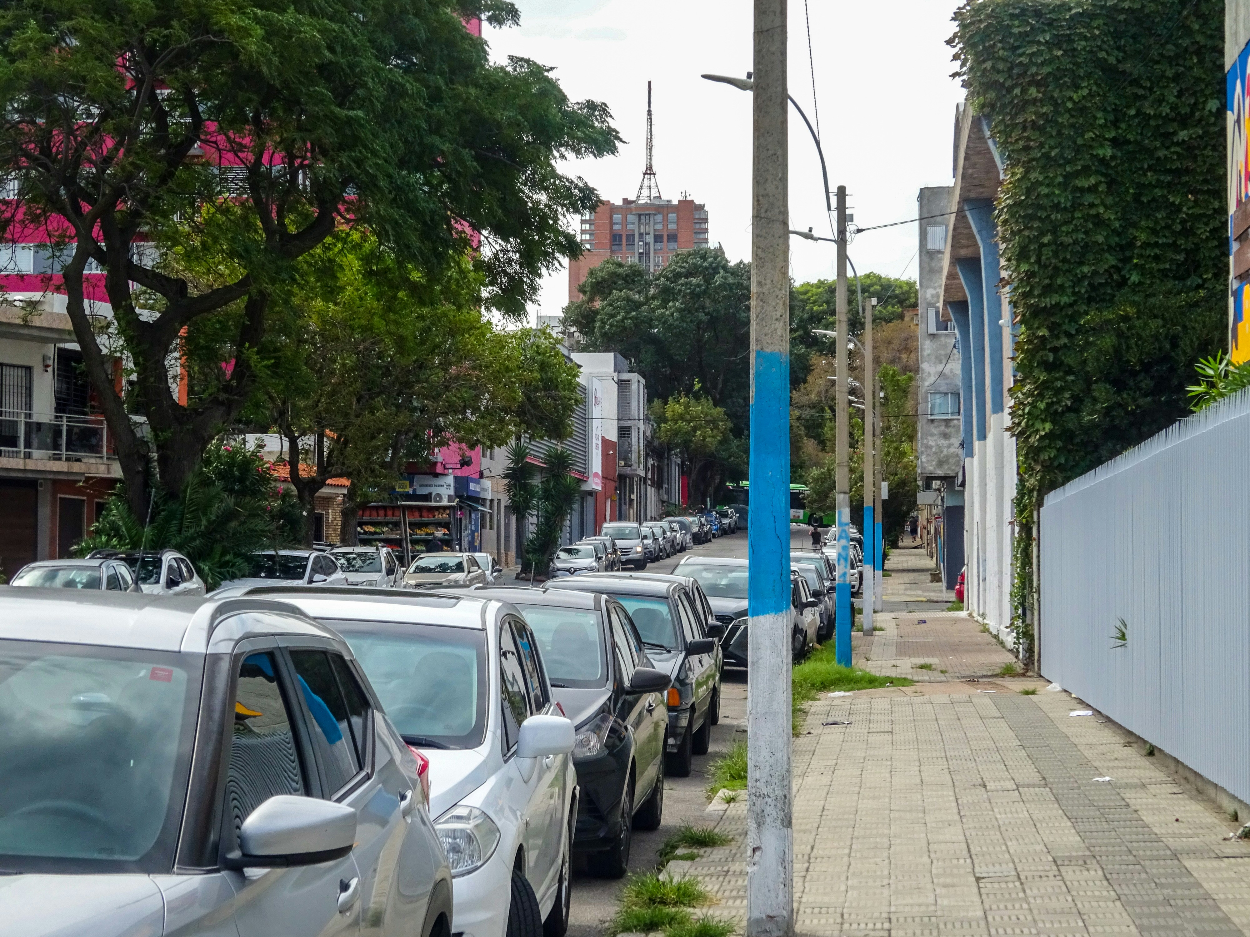 Photo by nikolaikolosov