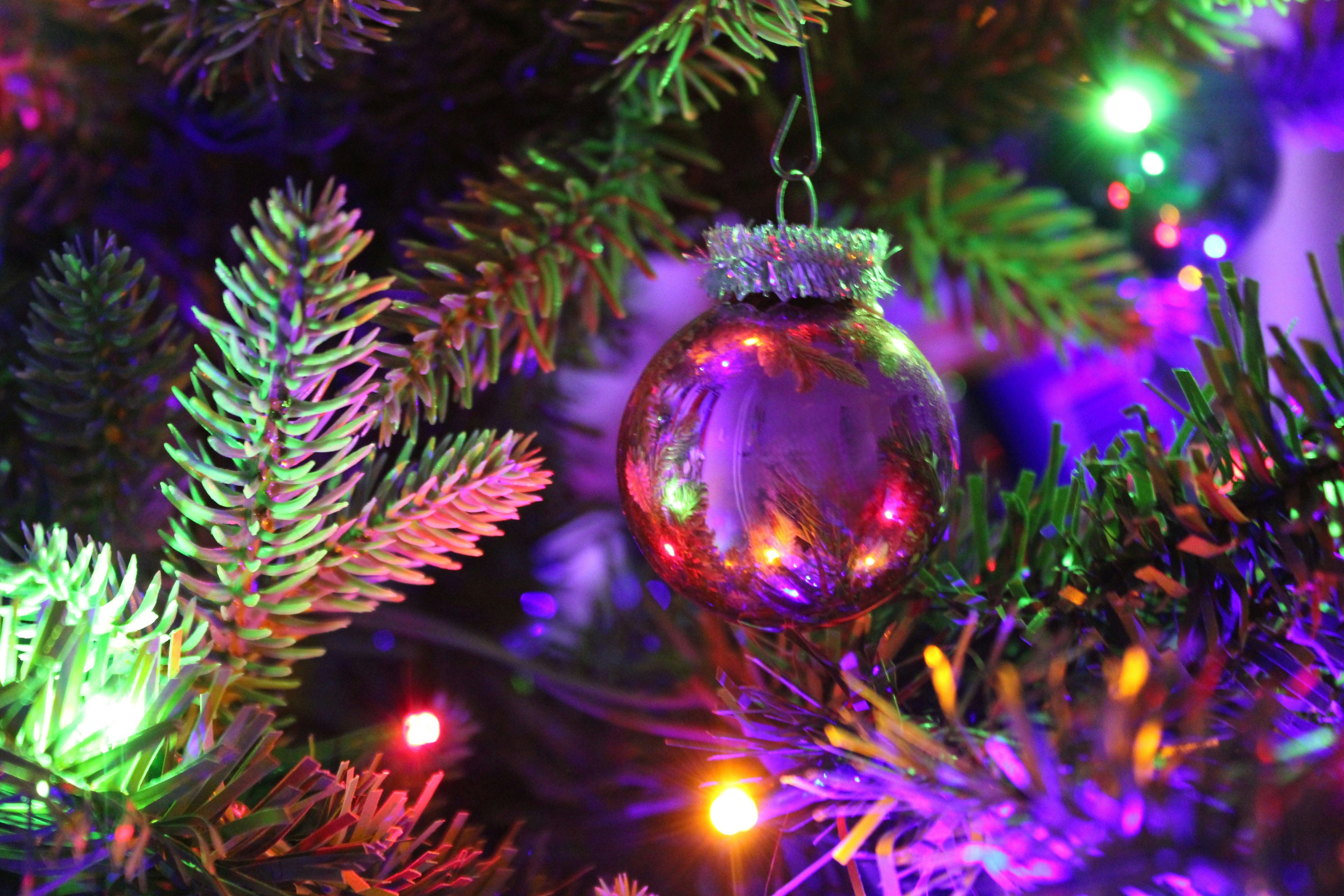 Photo by cheeseisthebest